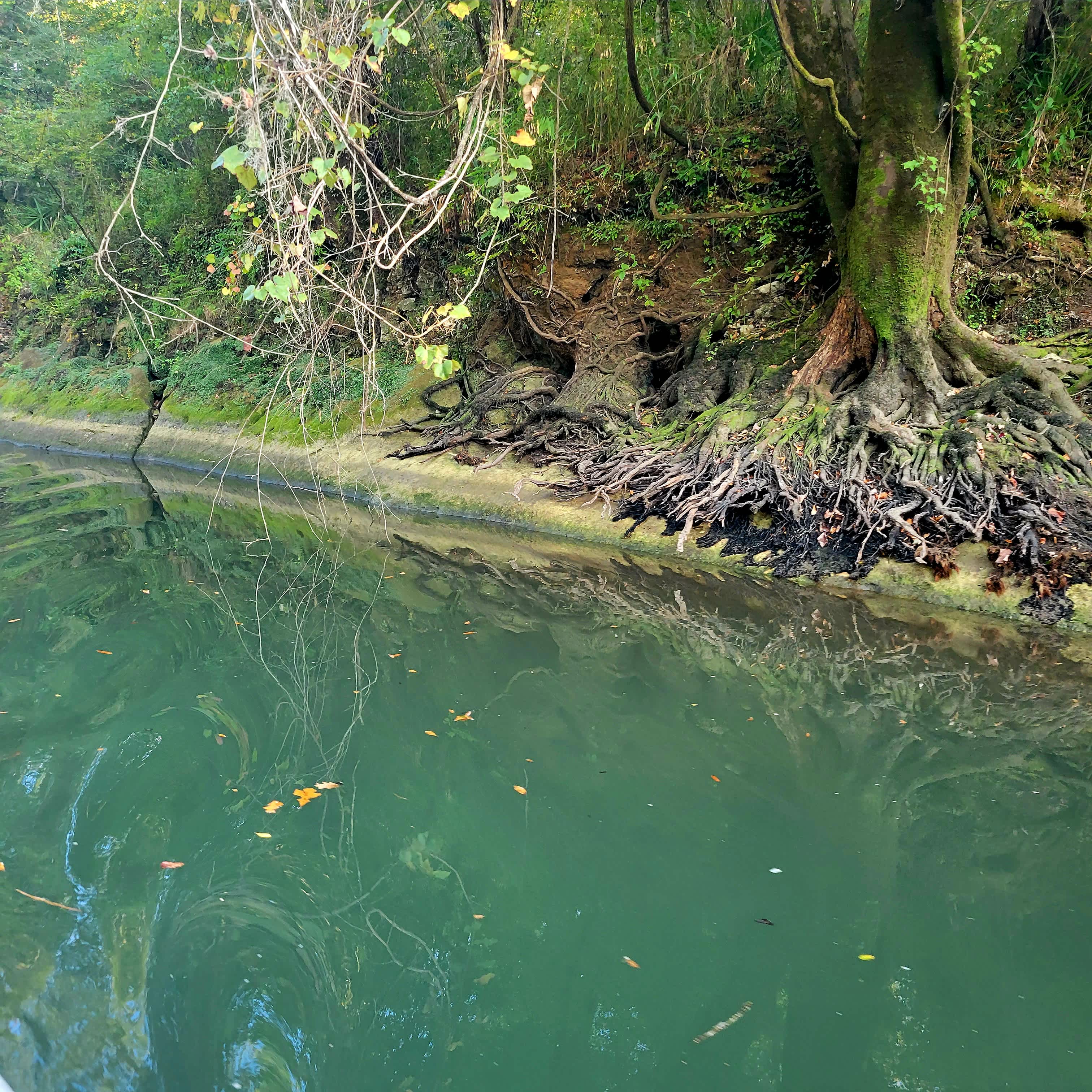 Sweetwater Daze River Camp