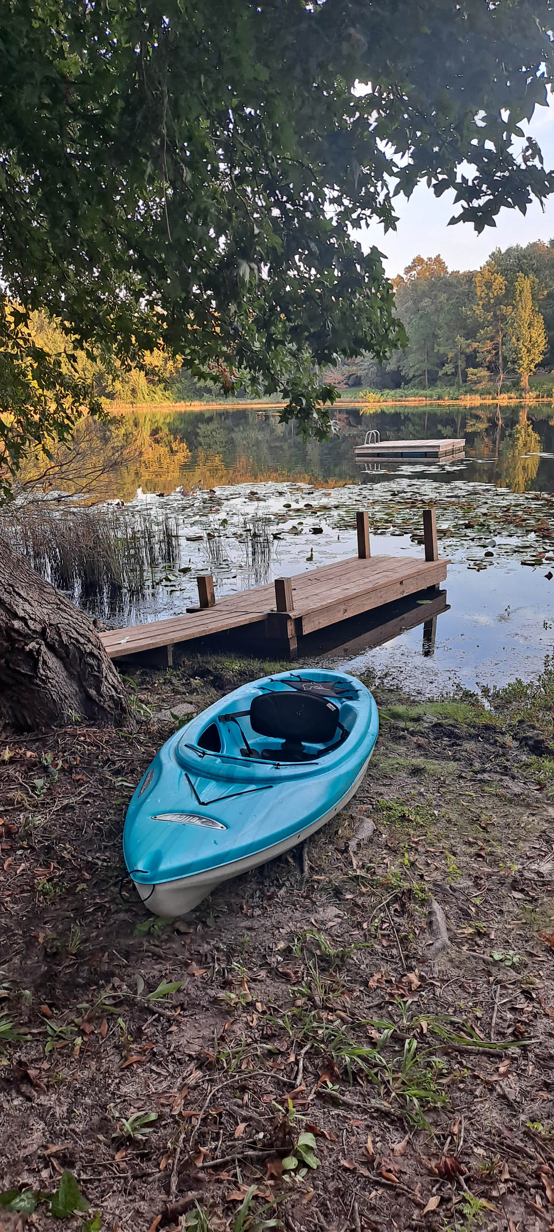 Daffodil Hill Homestead