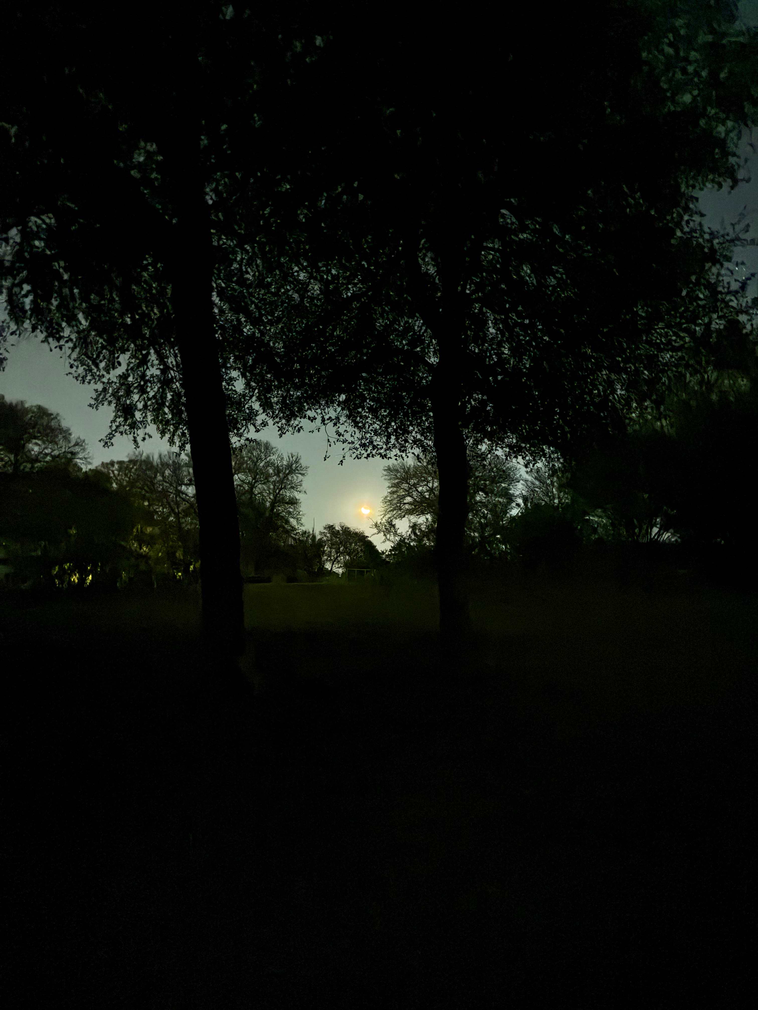 Moon rising over horizon