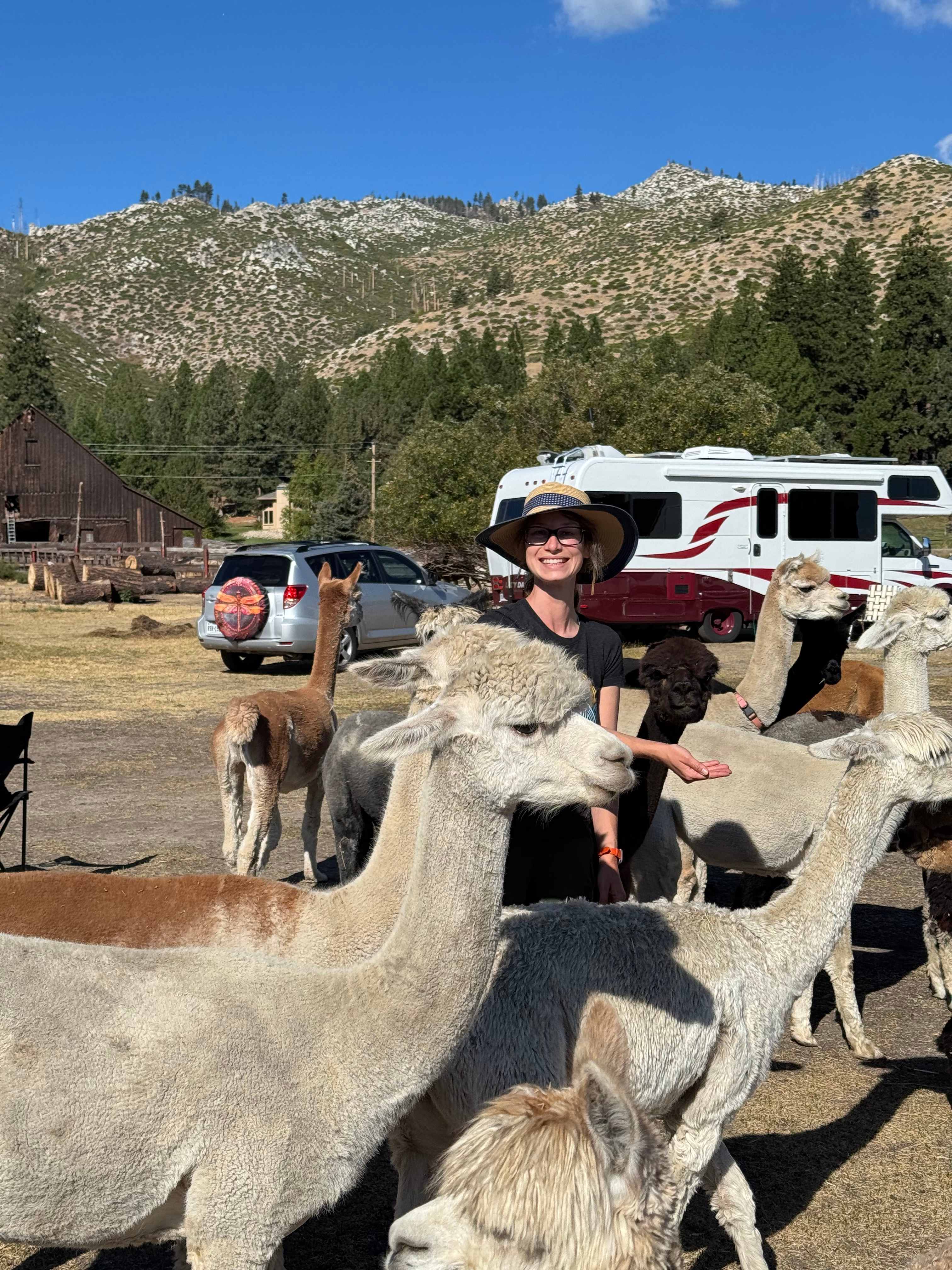 L.Davis Ranch and Olde LYFE Alpacas