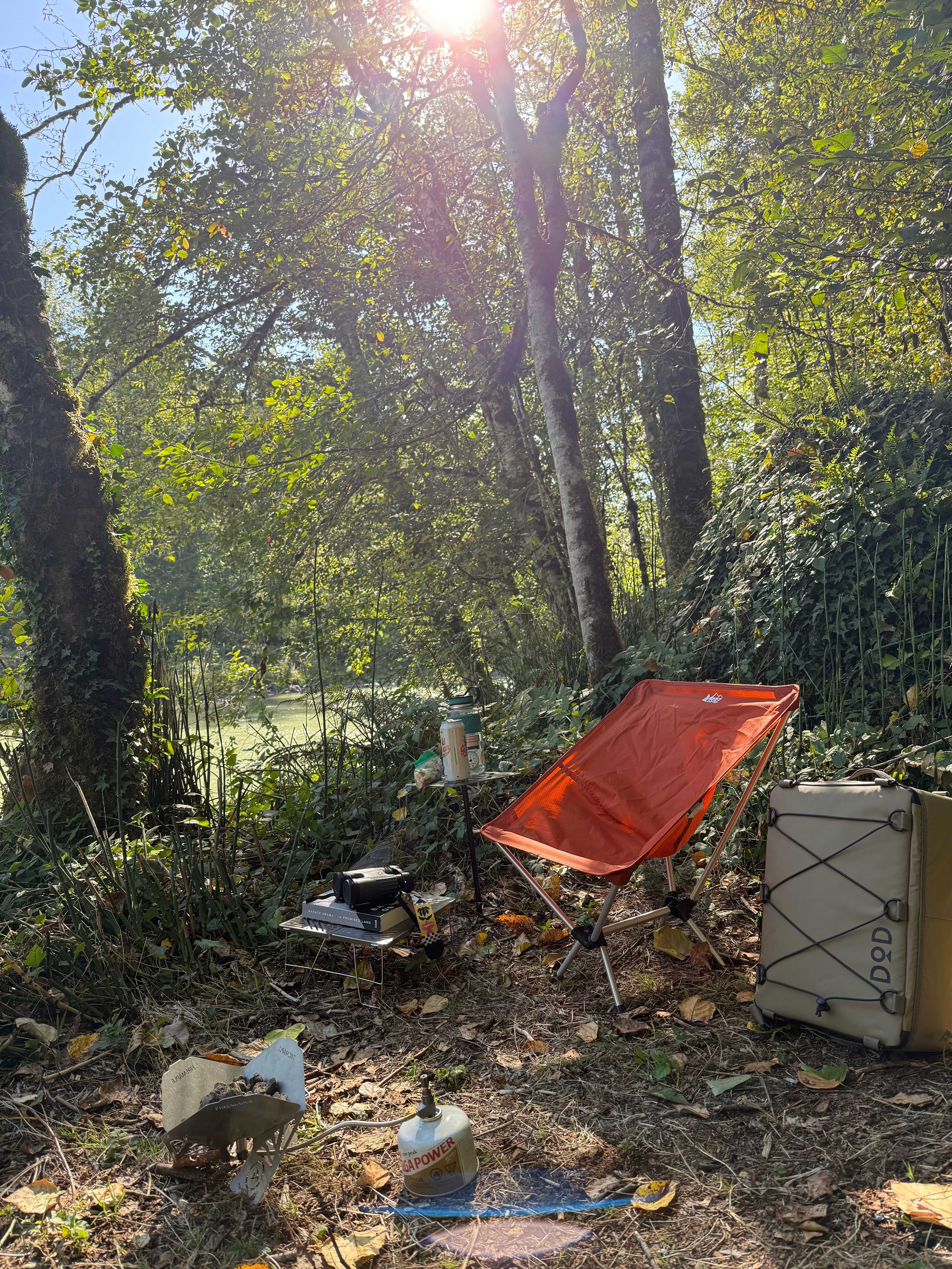 Mt. Hood Enchanted Forest