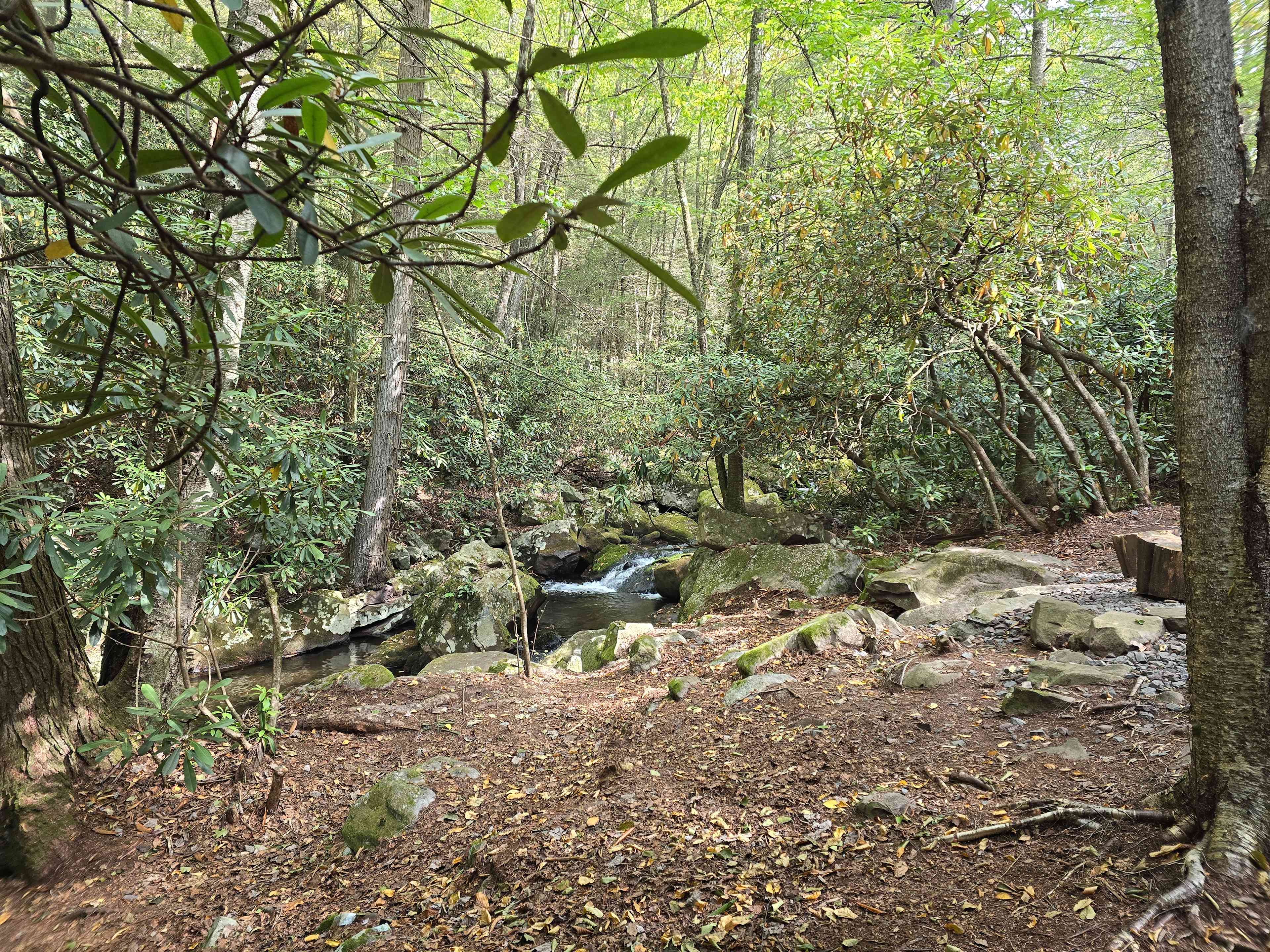 Camp Dietrich on Bear Creek