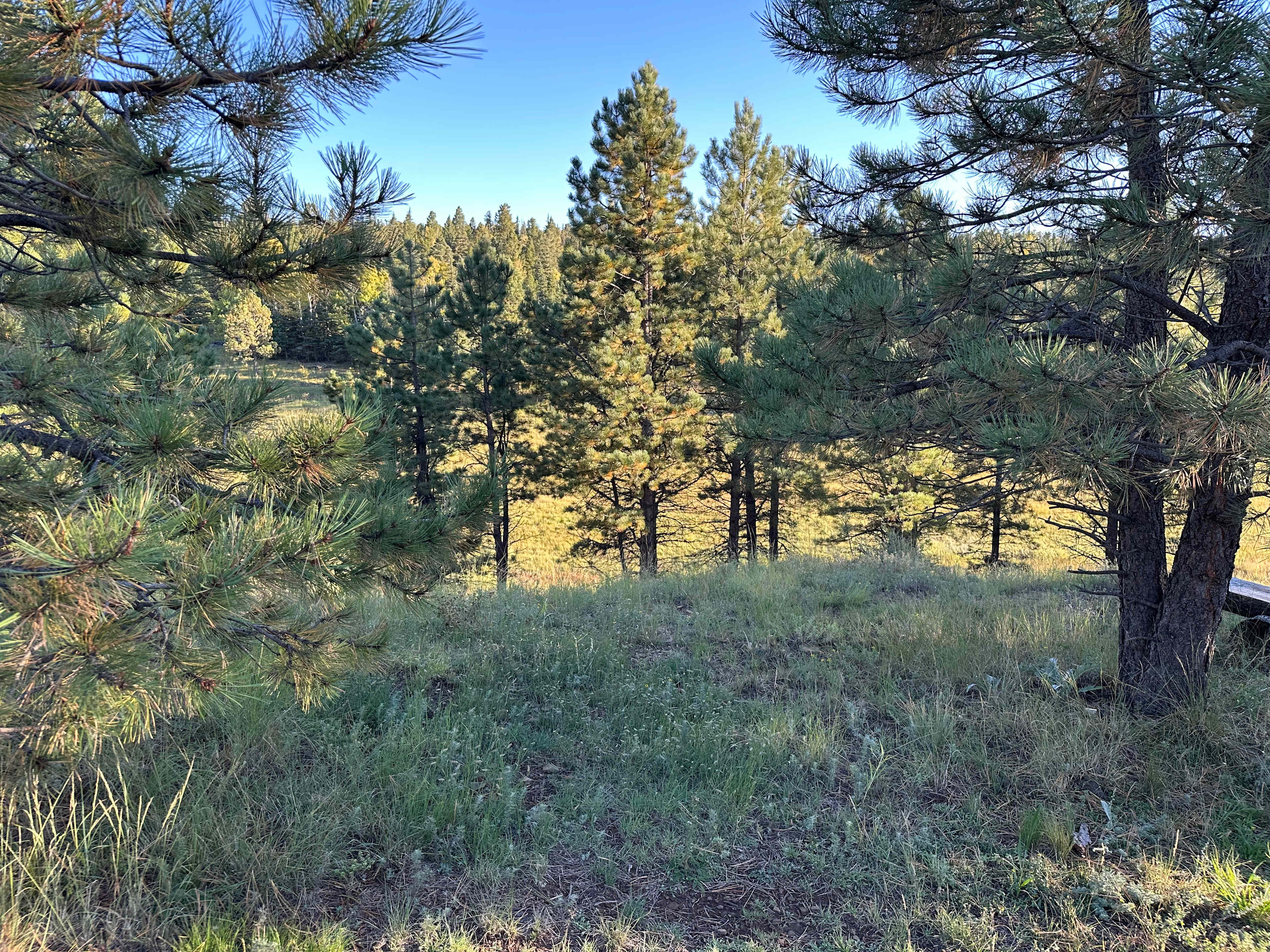 Enchanted Circle Campground (E<<)