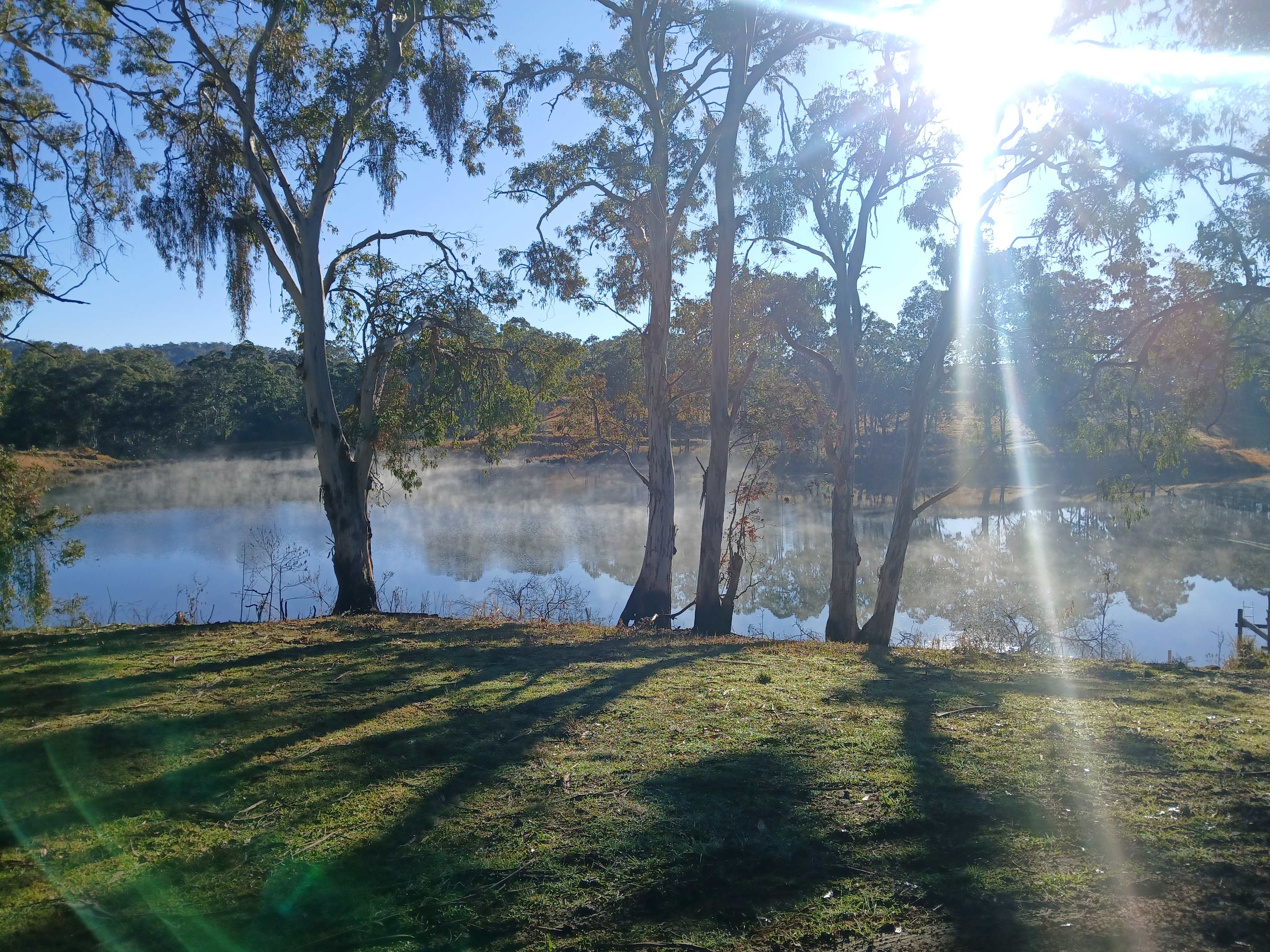 Booma Farm