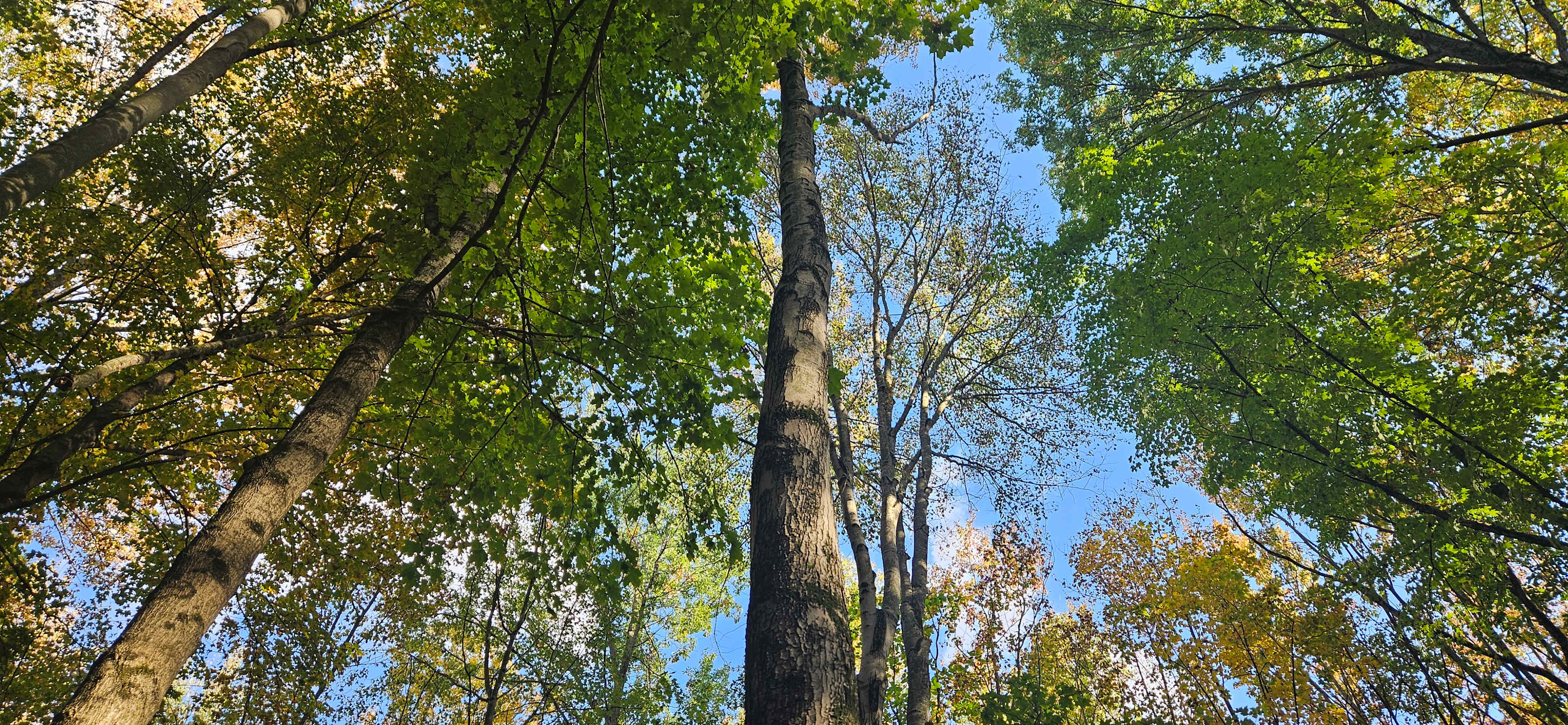 The Lake at the Flying J Farm