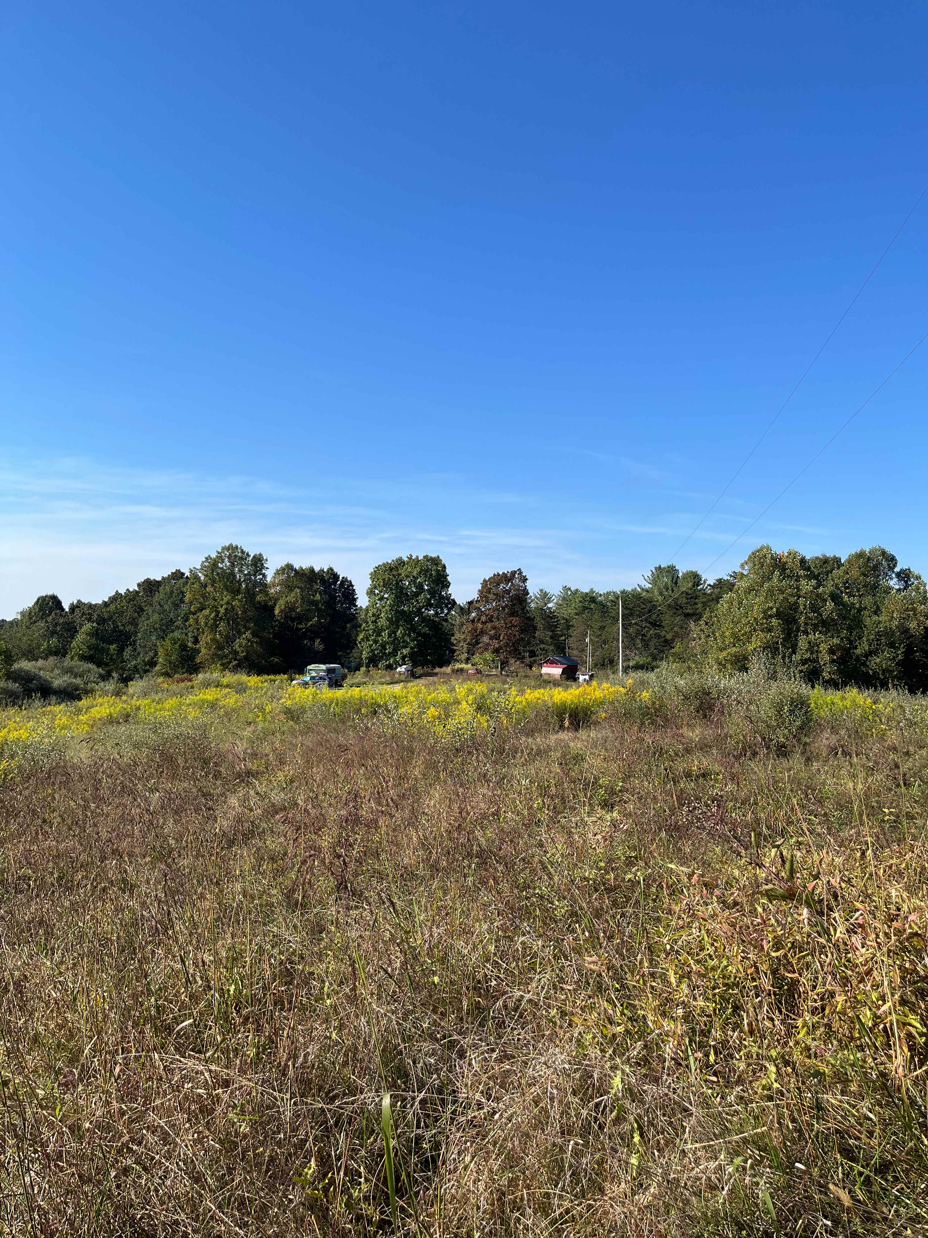View of camp from top of meadow trail