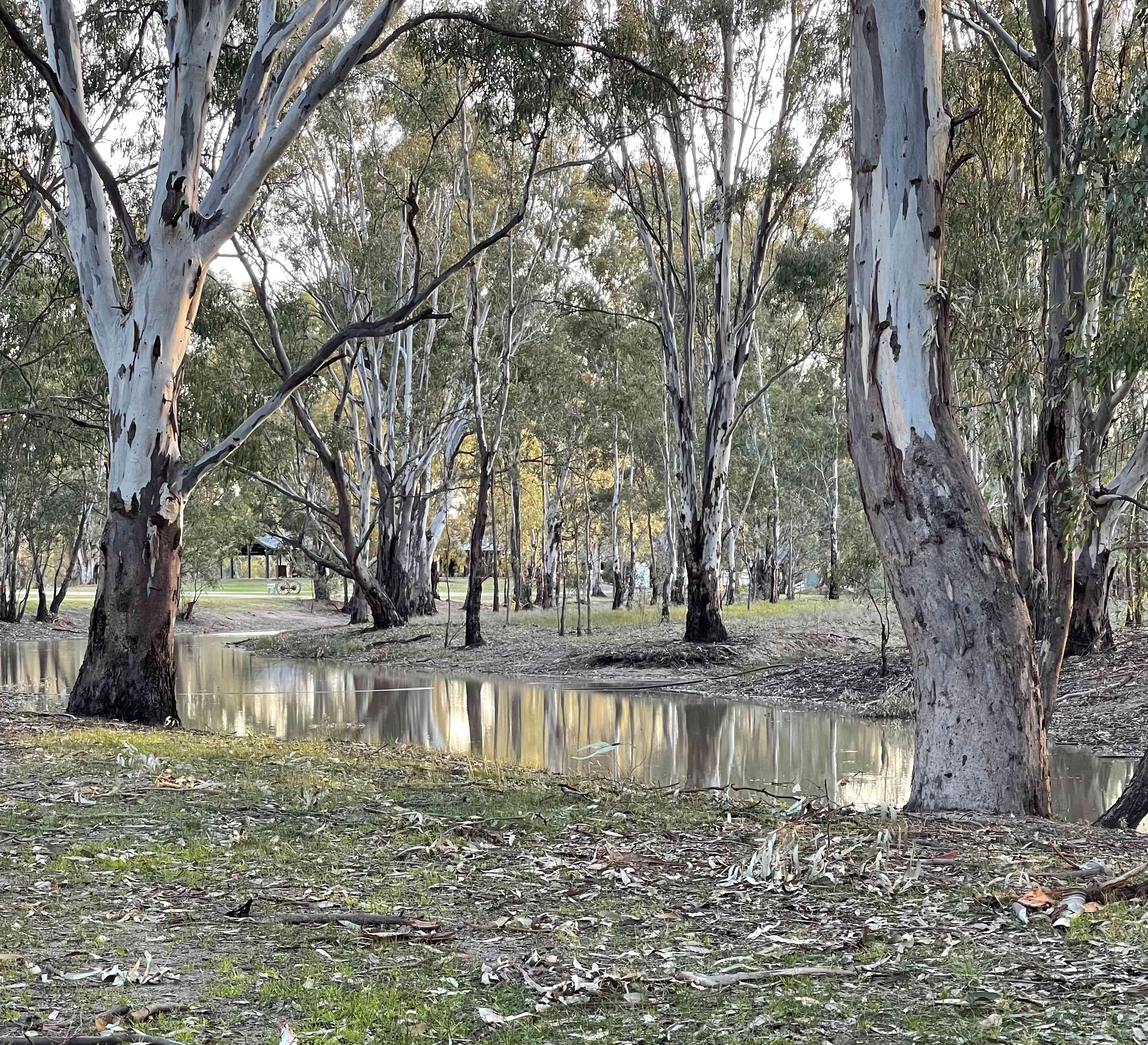 The Paddock at Ulupna