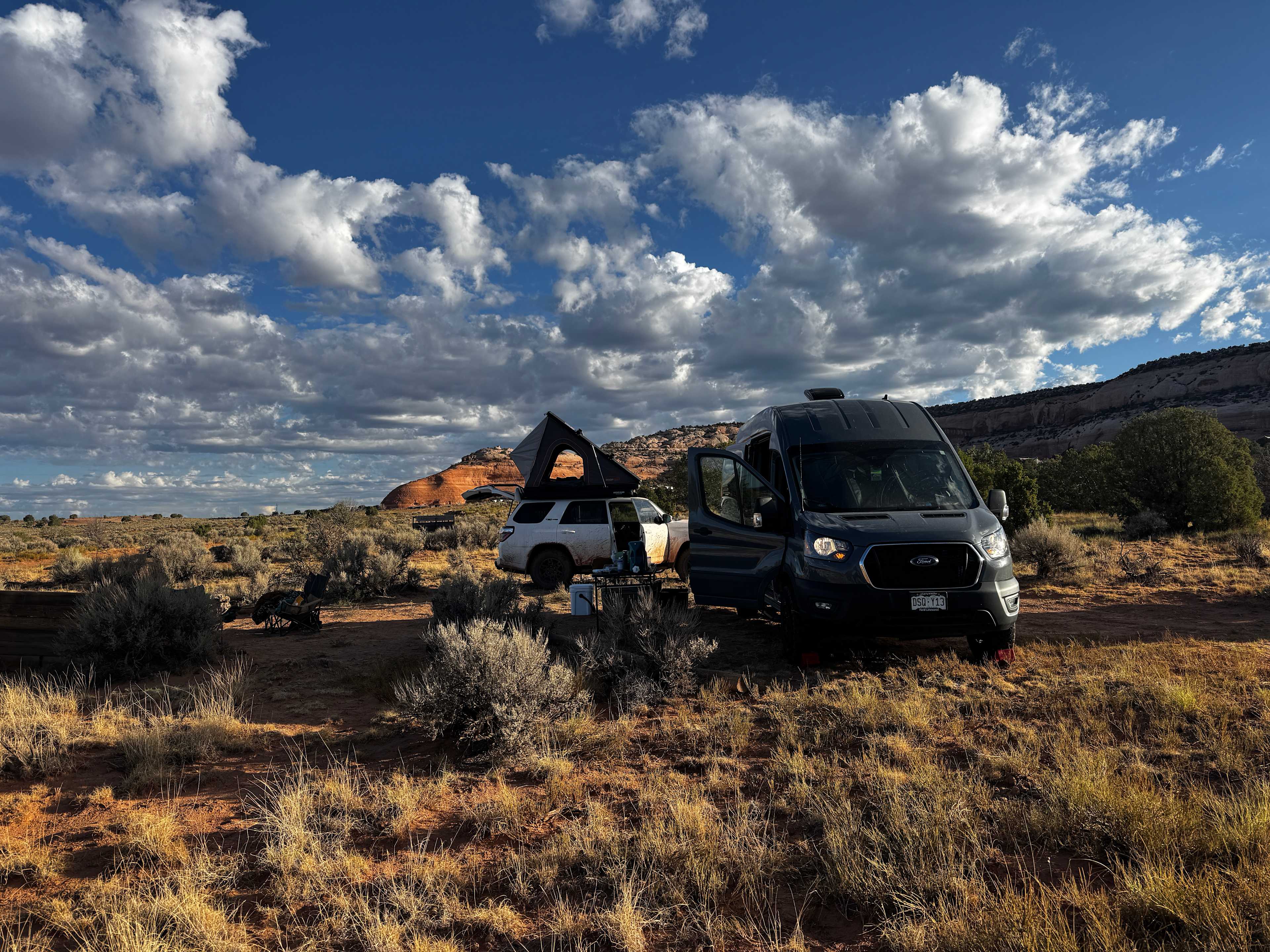 Where The Wild Things Camp