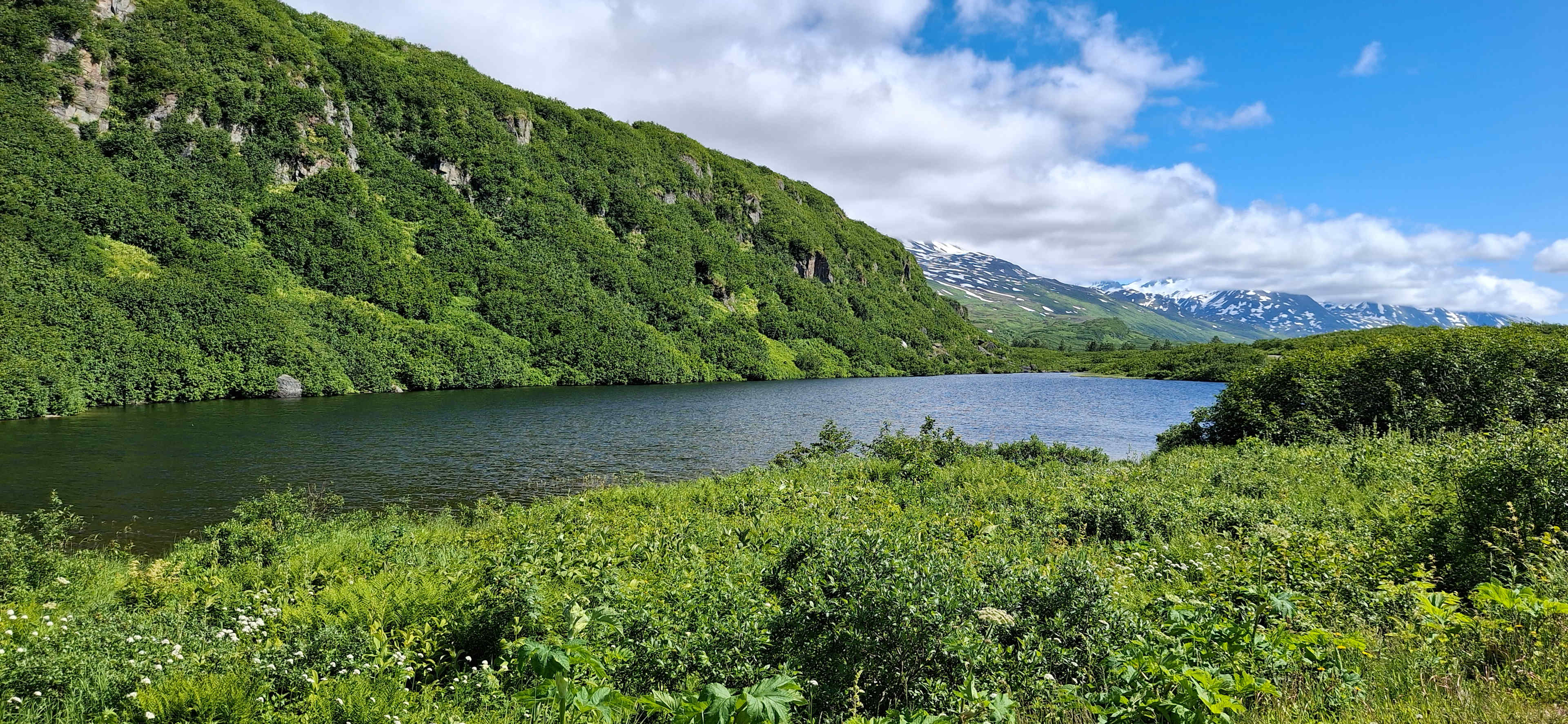 Valdez Adventure Alliance