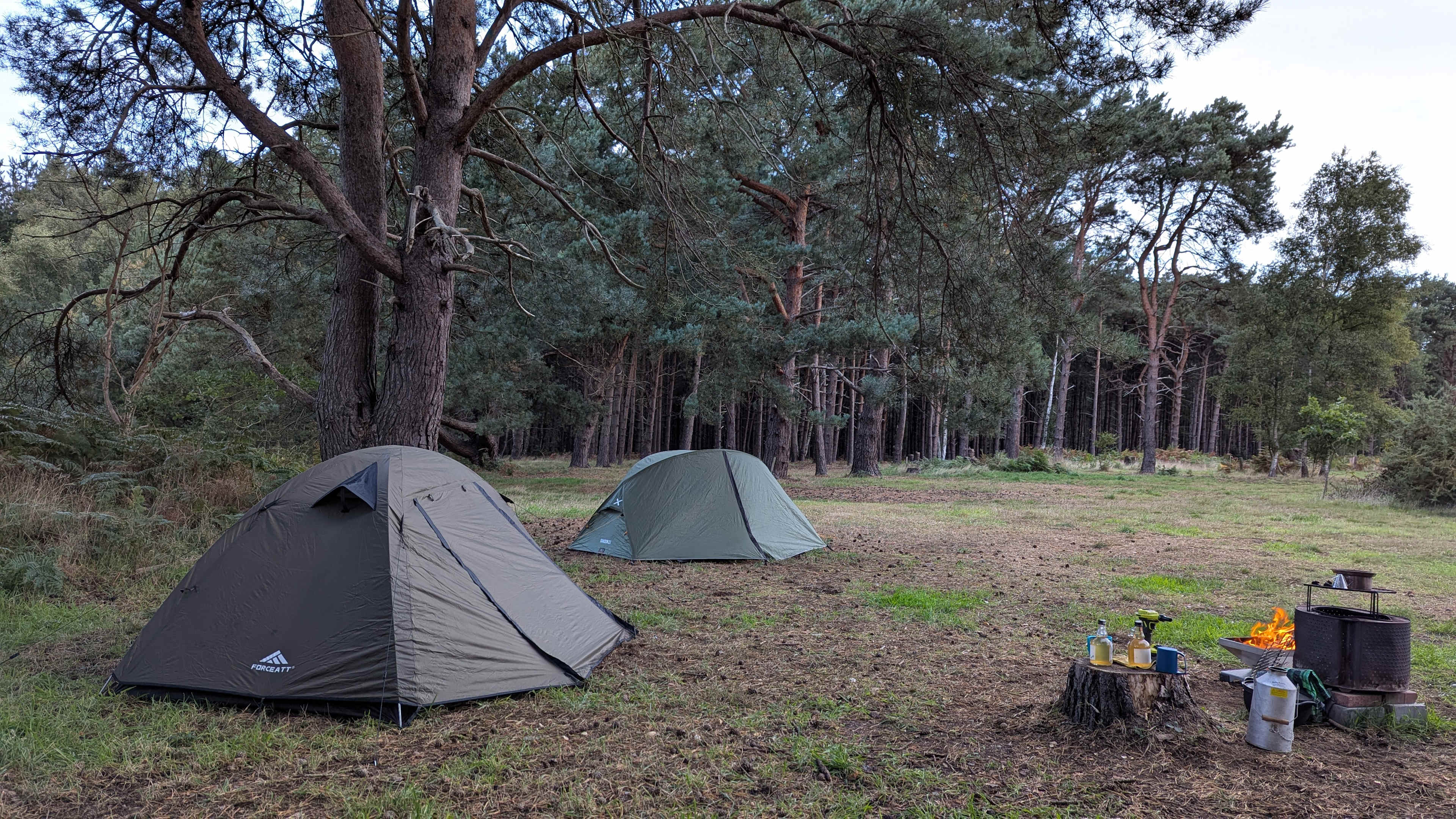 Holistic Woods Wild Campsite