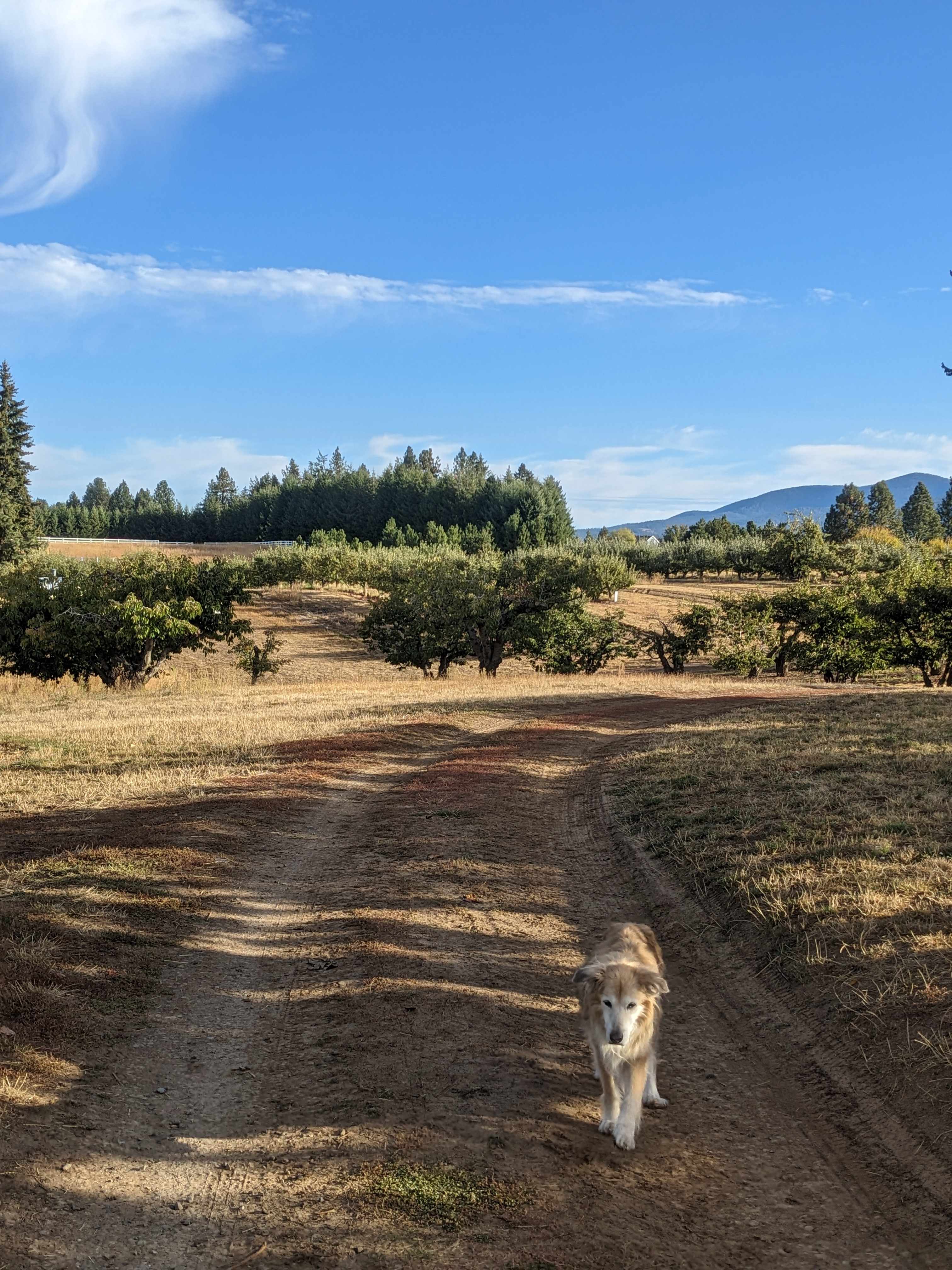 Hidden Acres Orchards