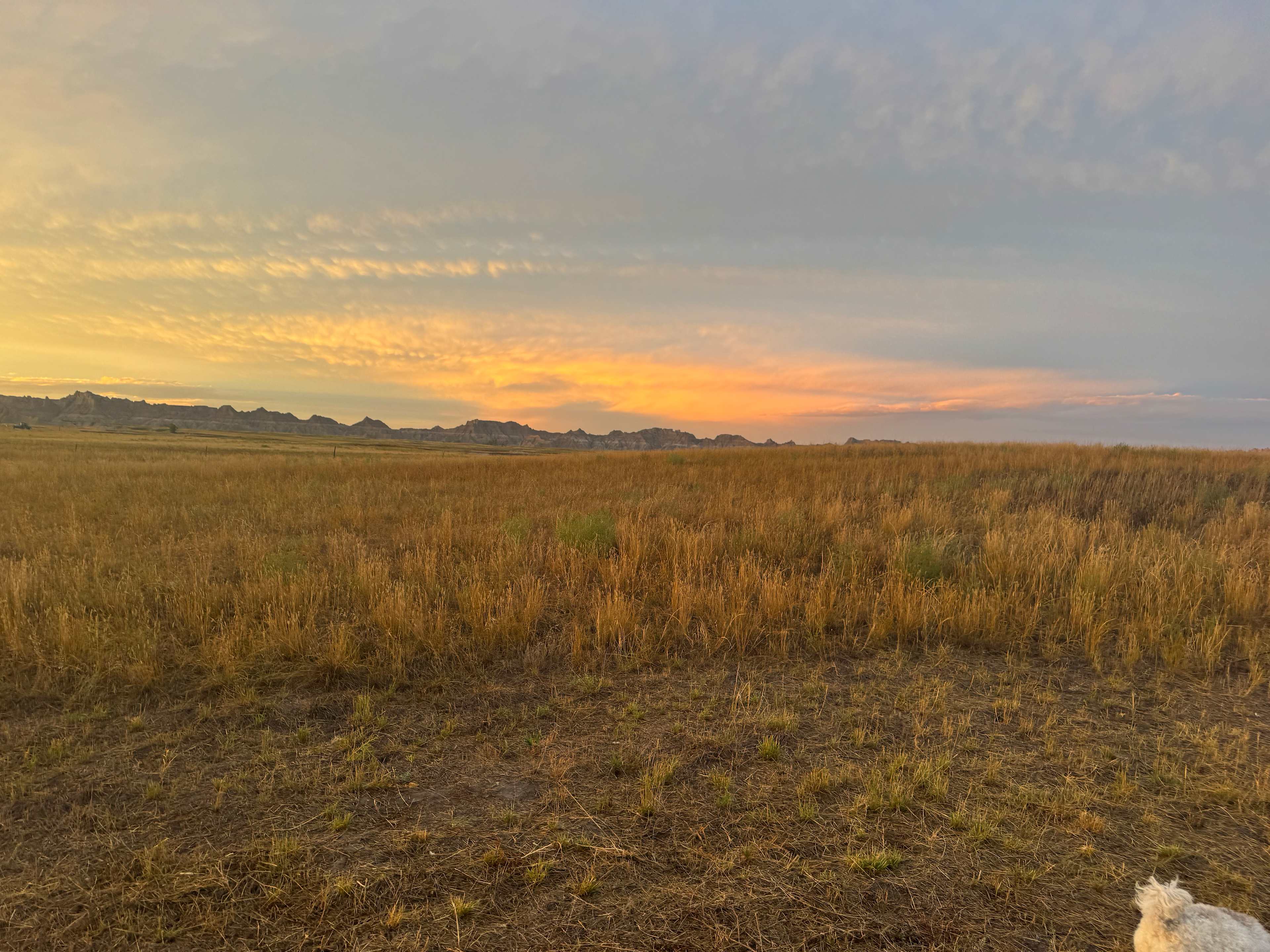 Badlands Hotel & Campground