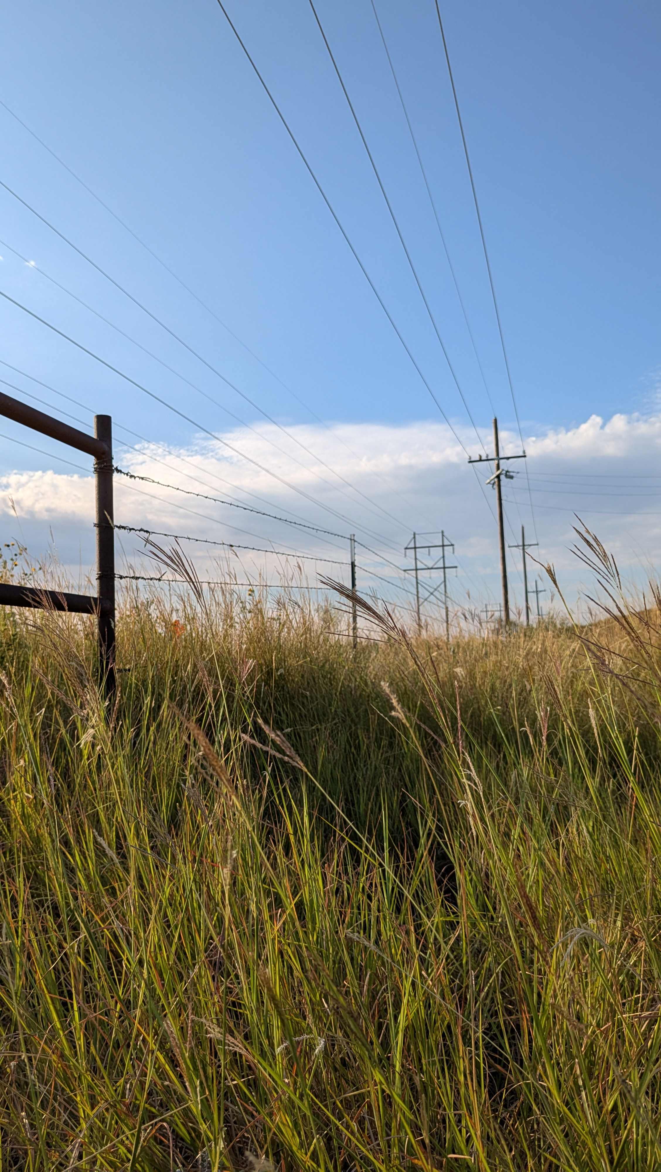 Mariposa Community Land Trust