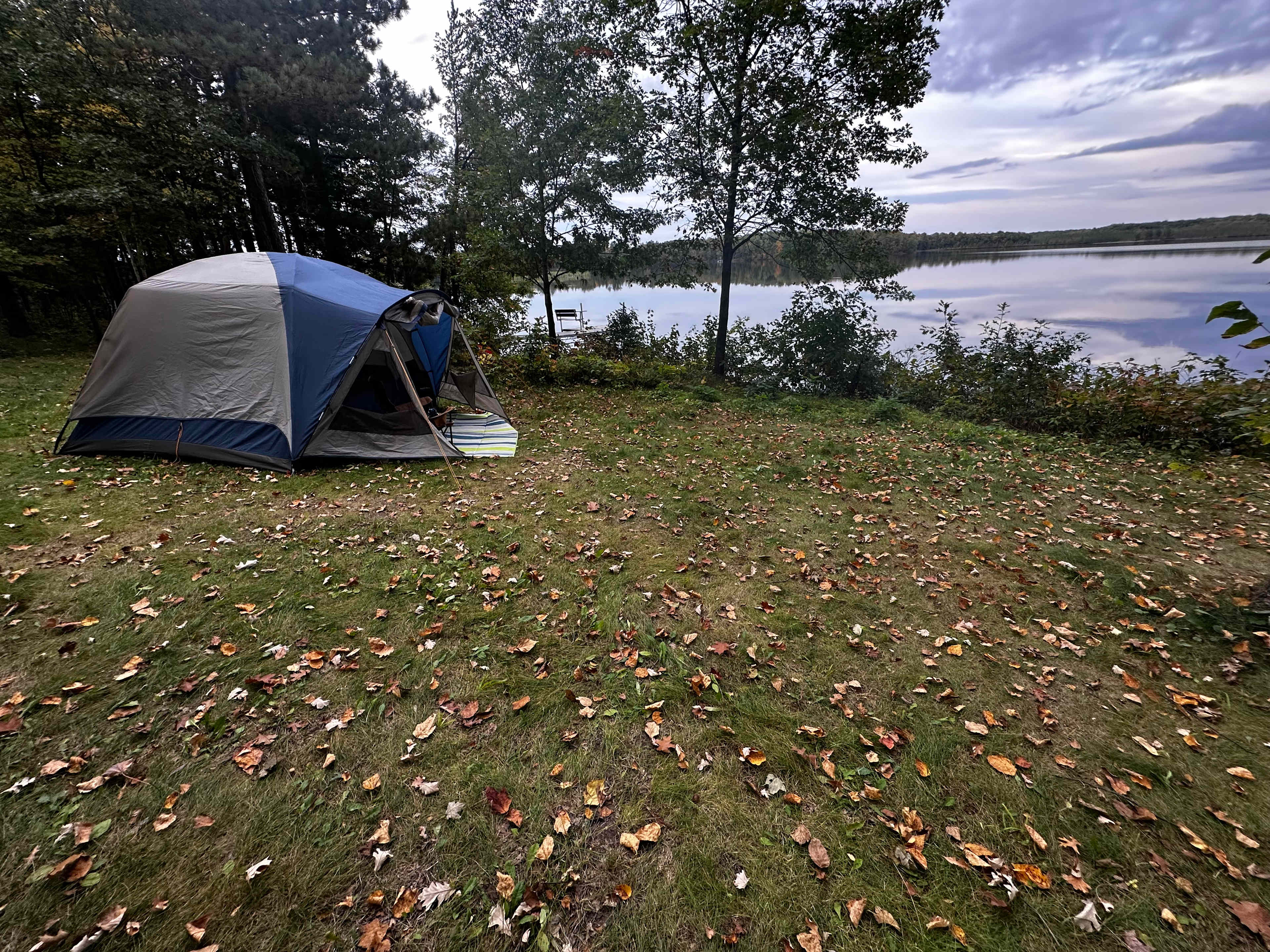 Perfect view to fall asleep to