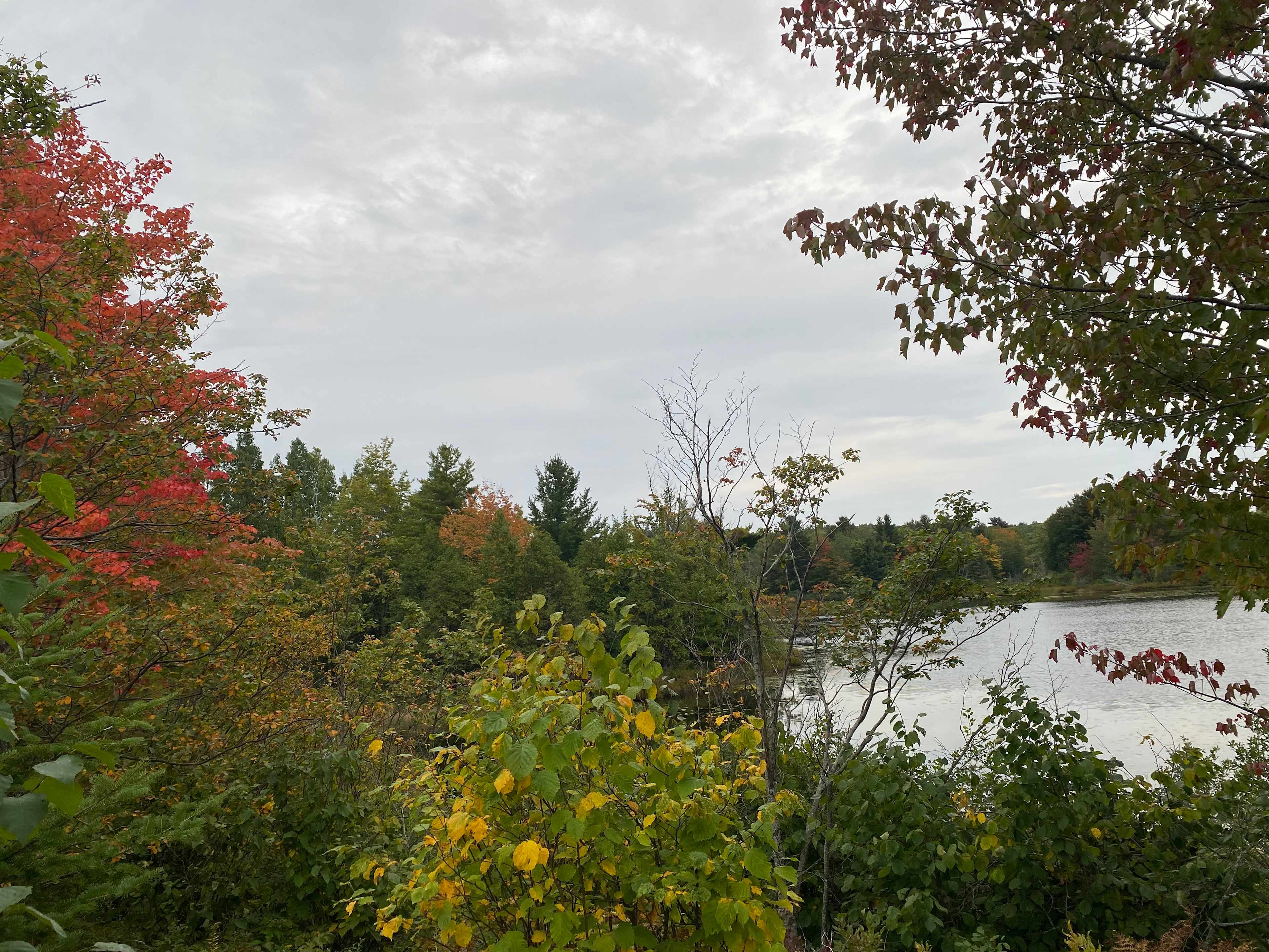 Keweenaw Homestead Camping