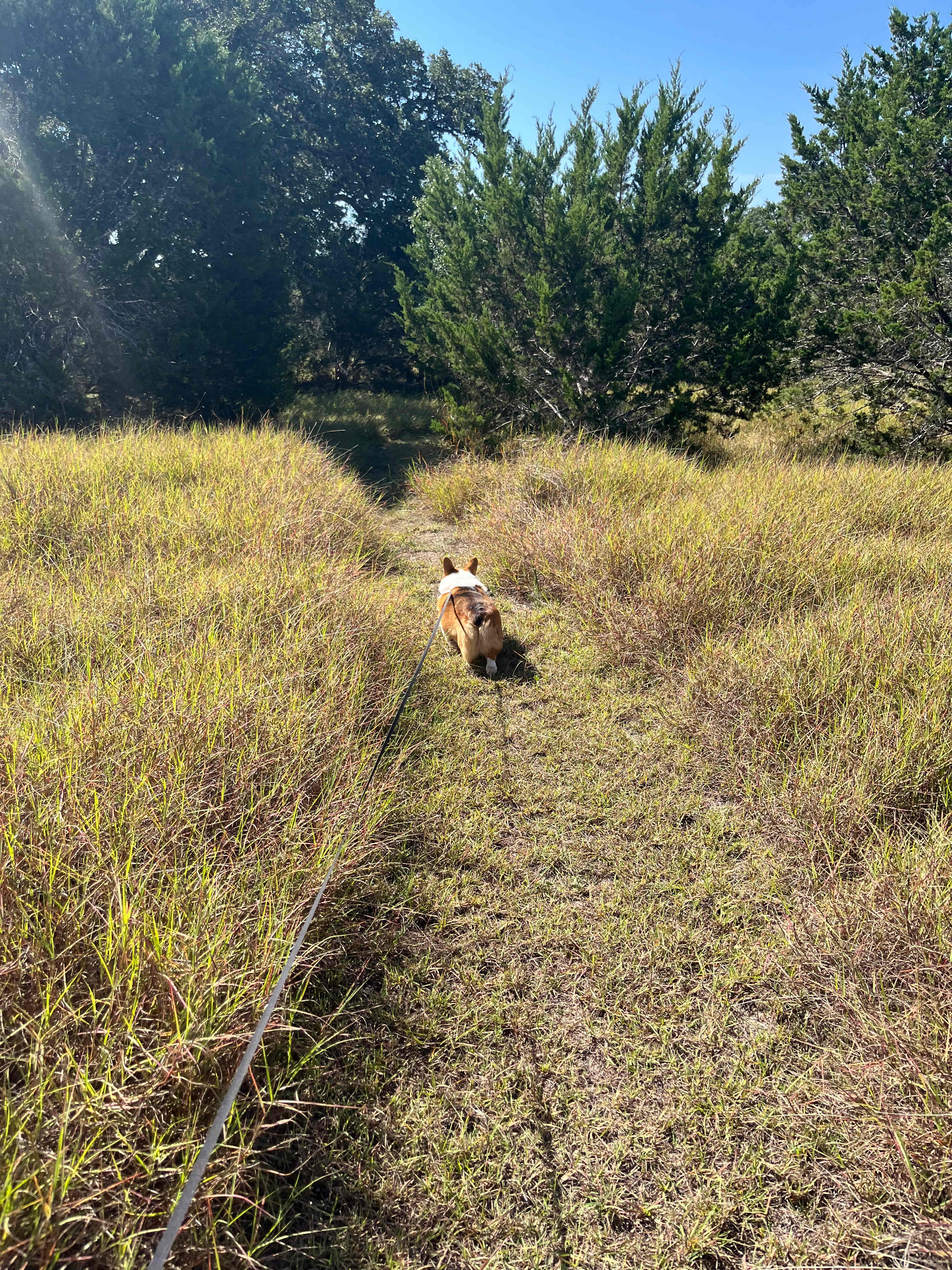 Enjoyed the trail loop