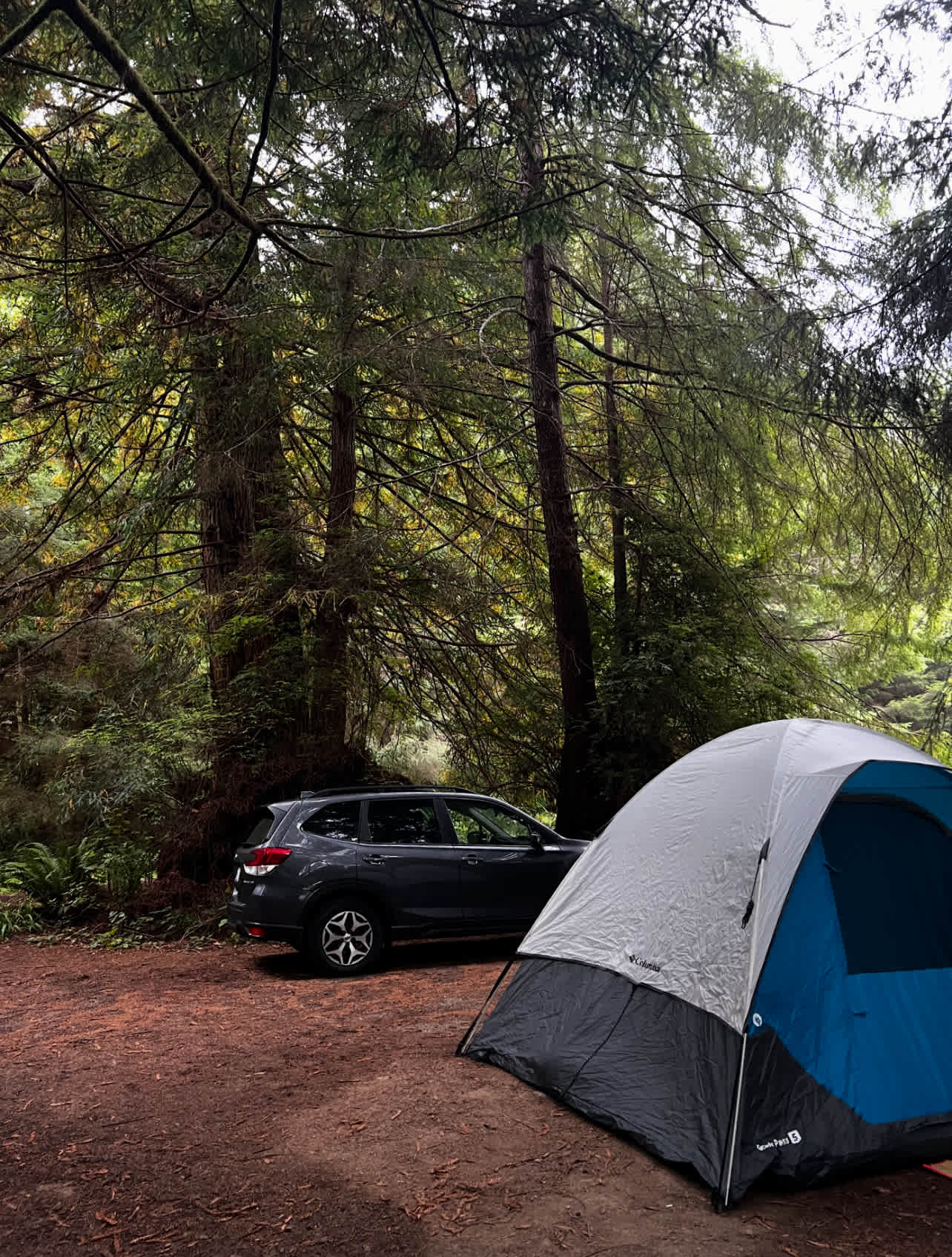 Mystic Forest Campground