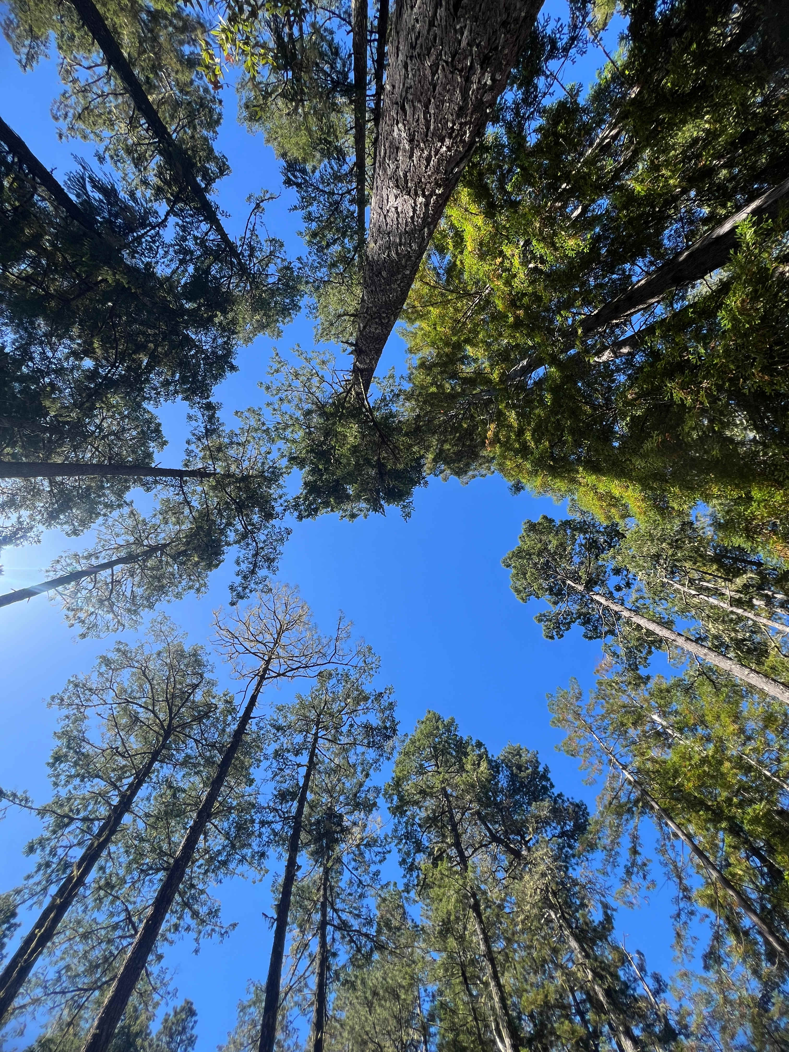 View at deck site