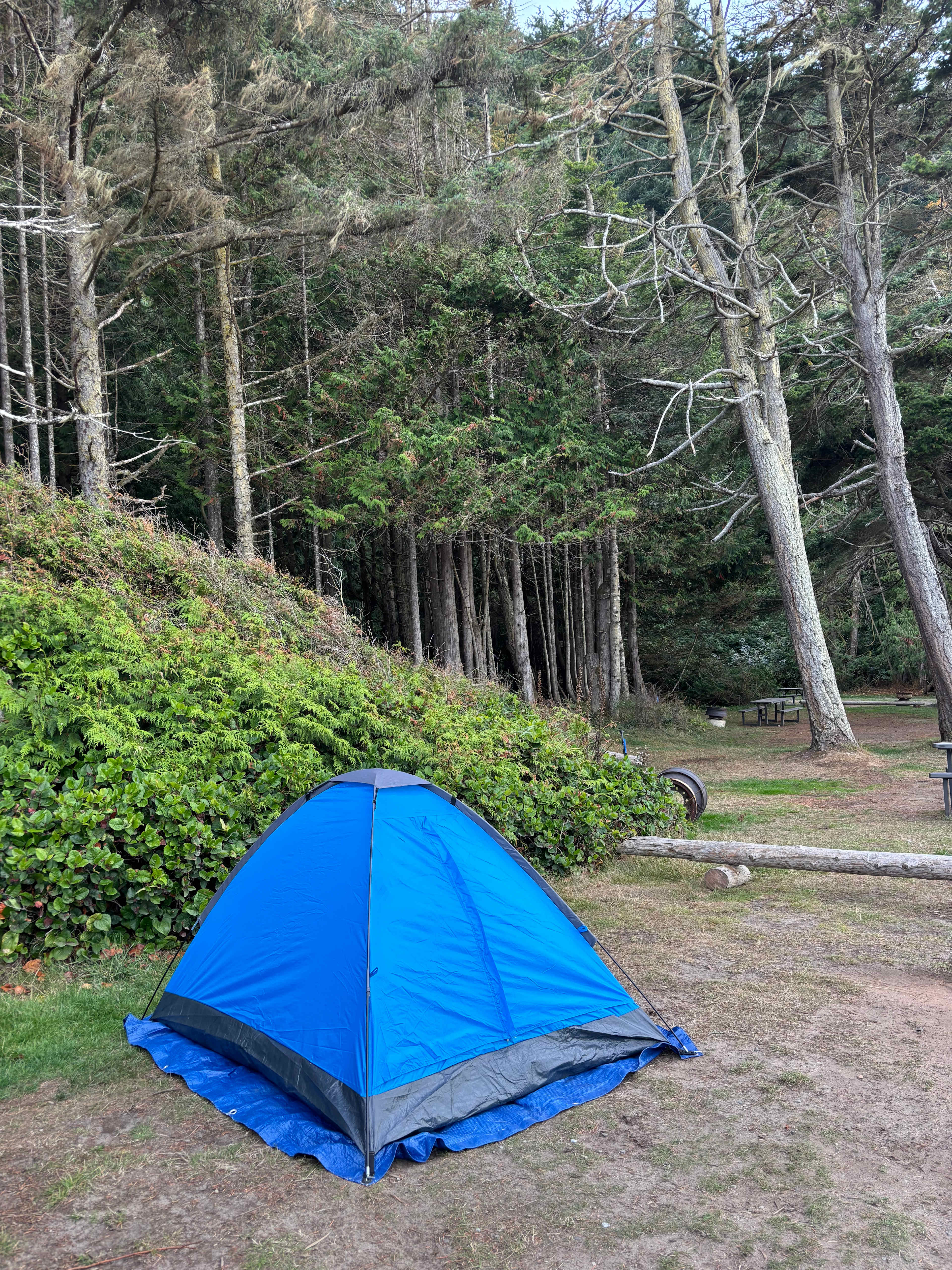 Crescent Beach & RV
