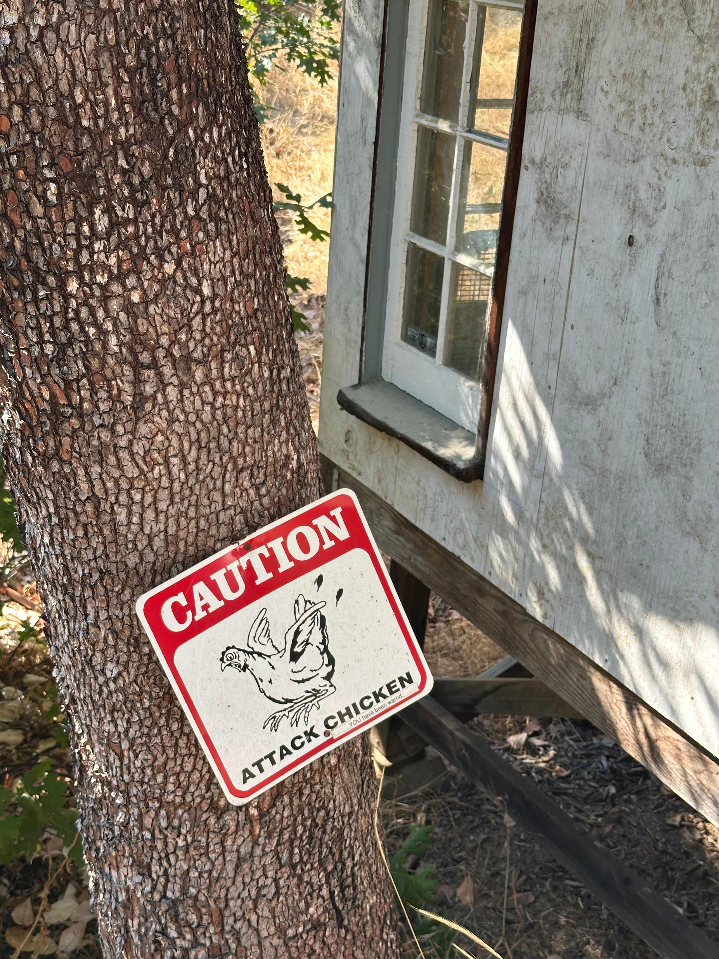 spirit chicken ranch