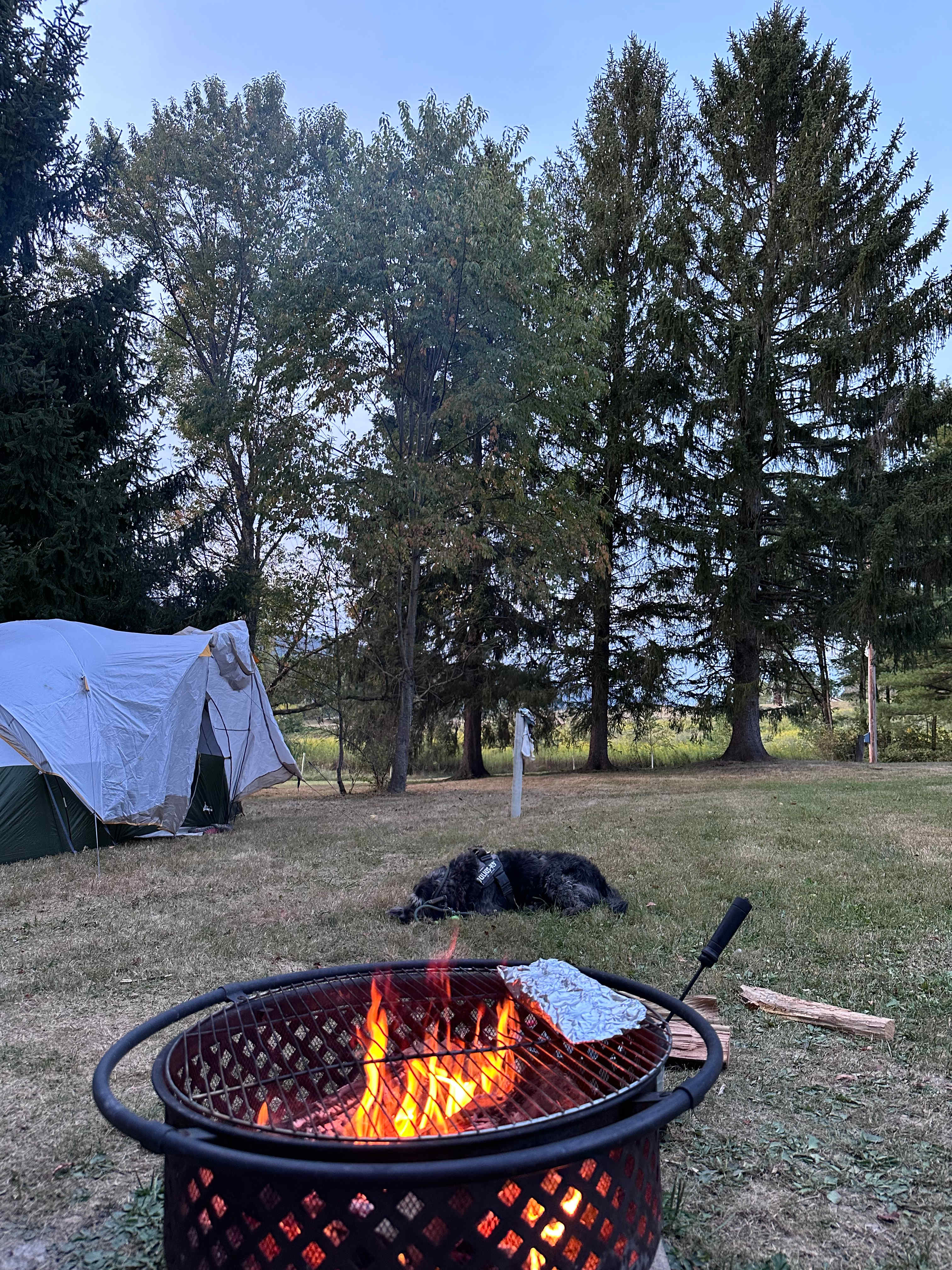WonderWoods at Rocky Gap
