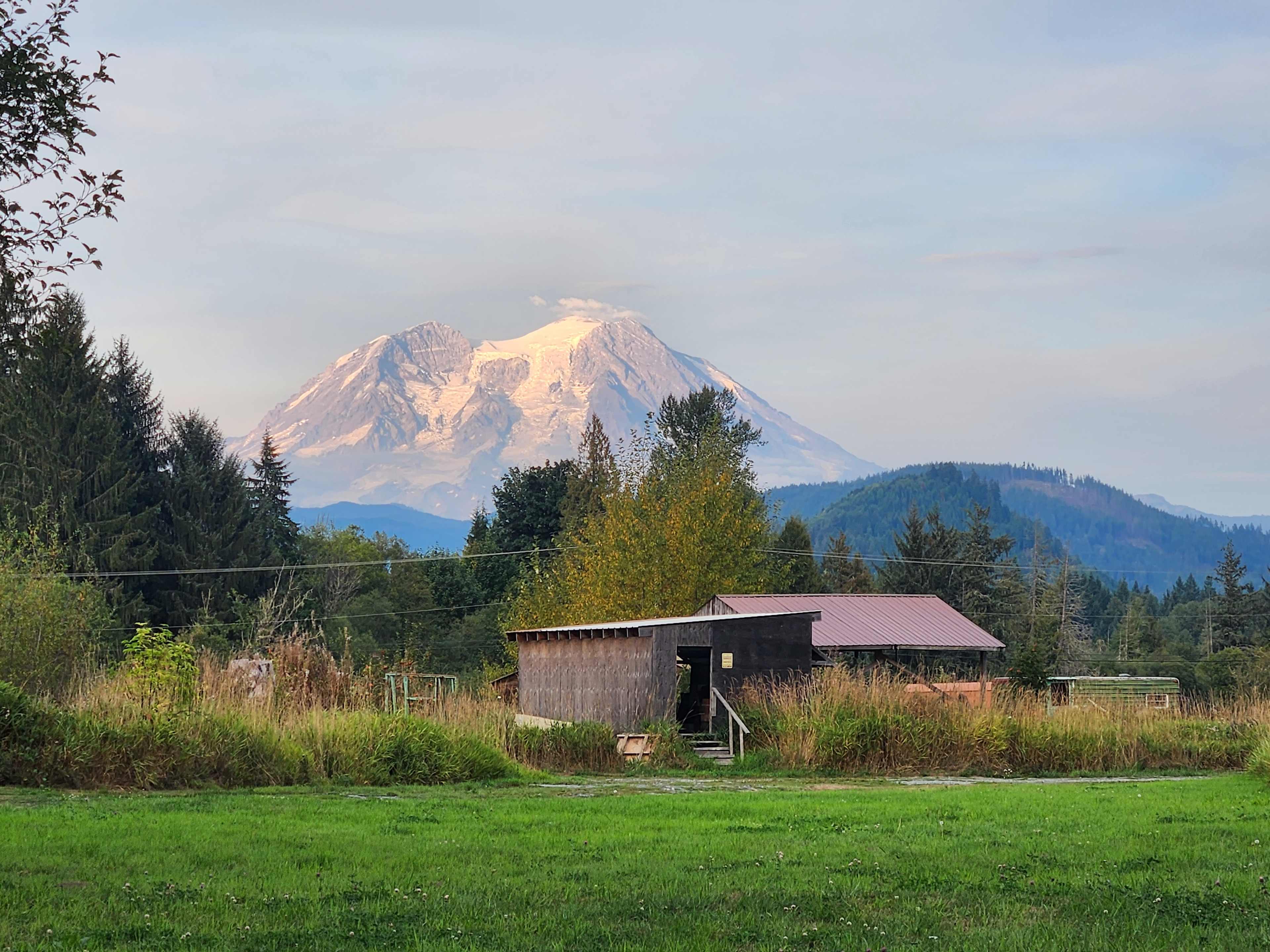 Misty Meadows Adventures Mt.Rainier