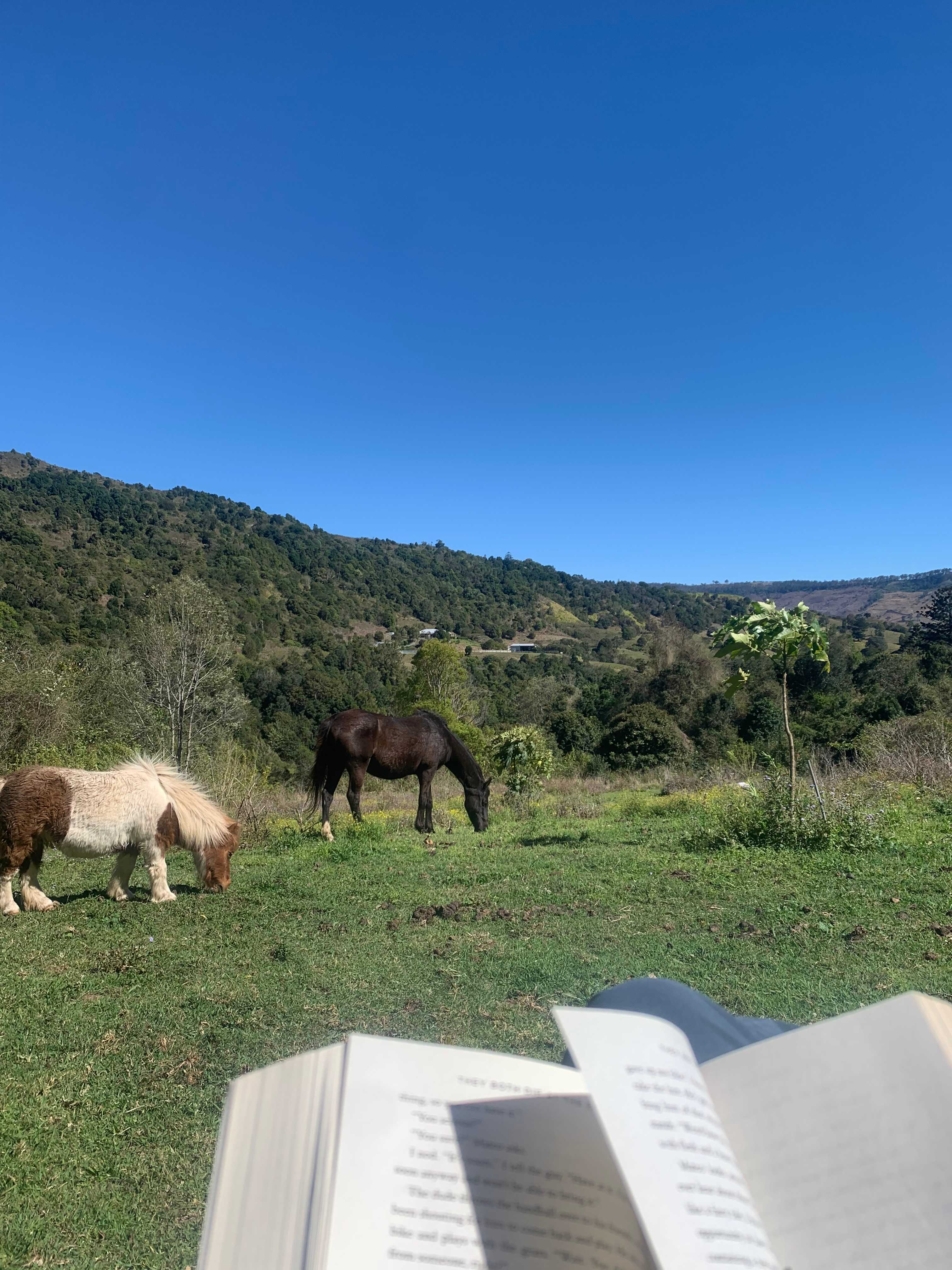 The Bush Clinic, Hinterland Retreat