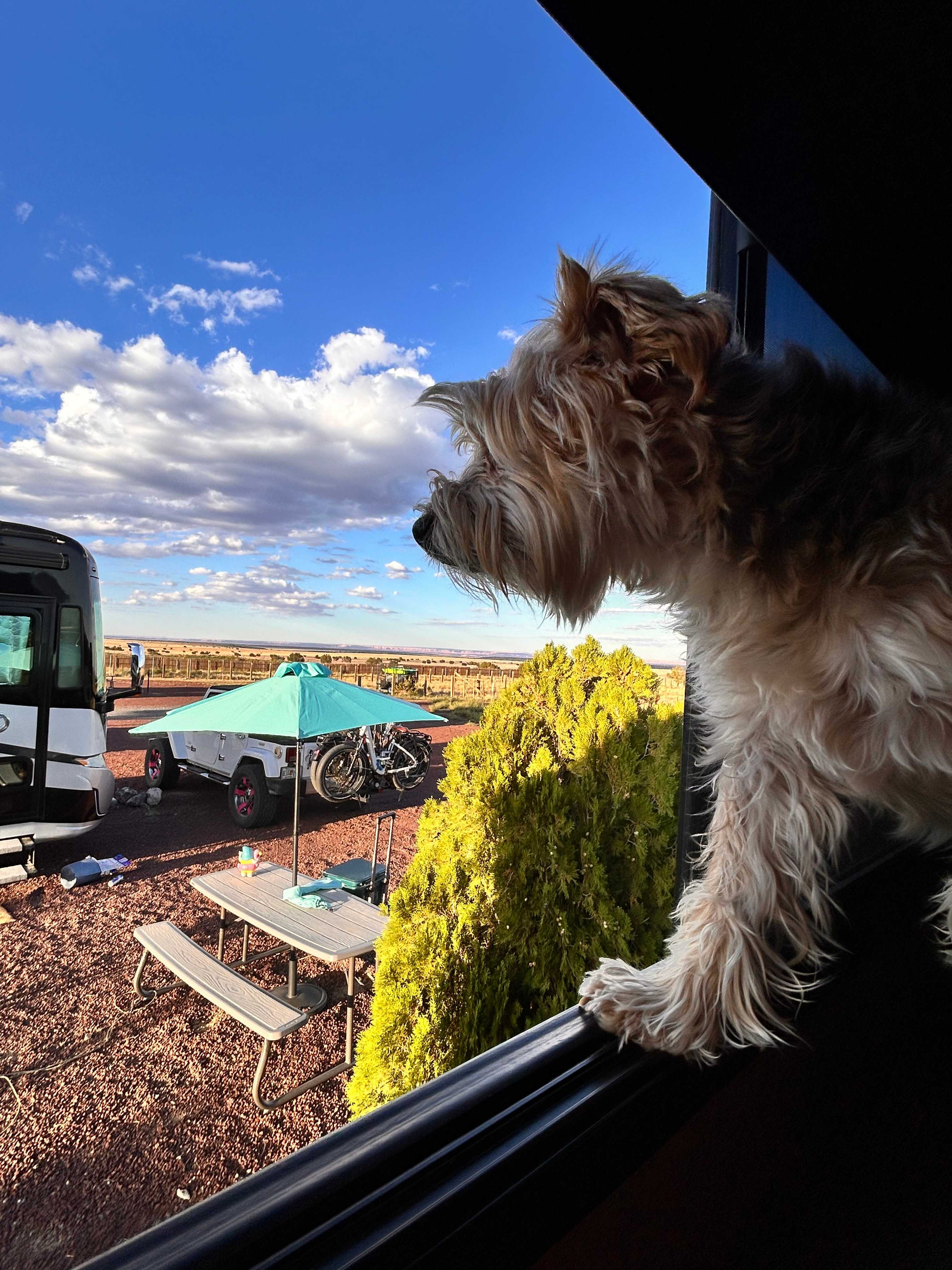 Grand Canyon Oasis High Desert Camp