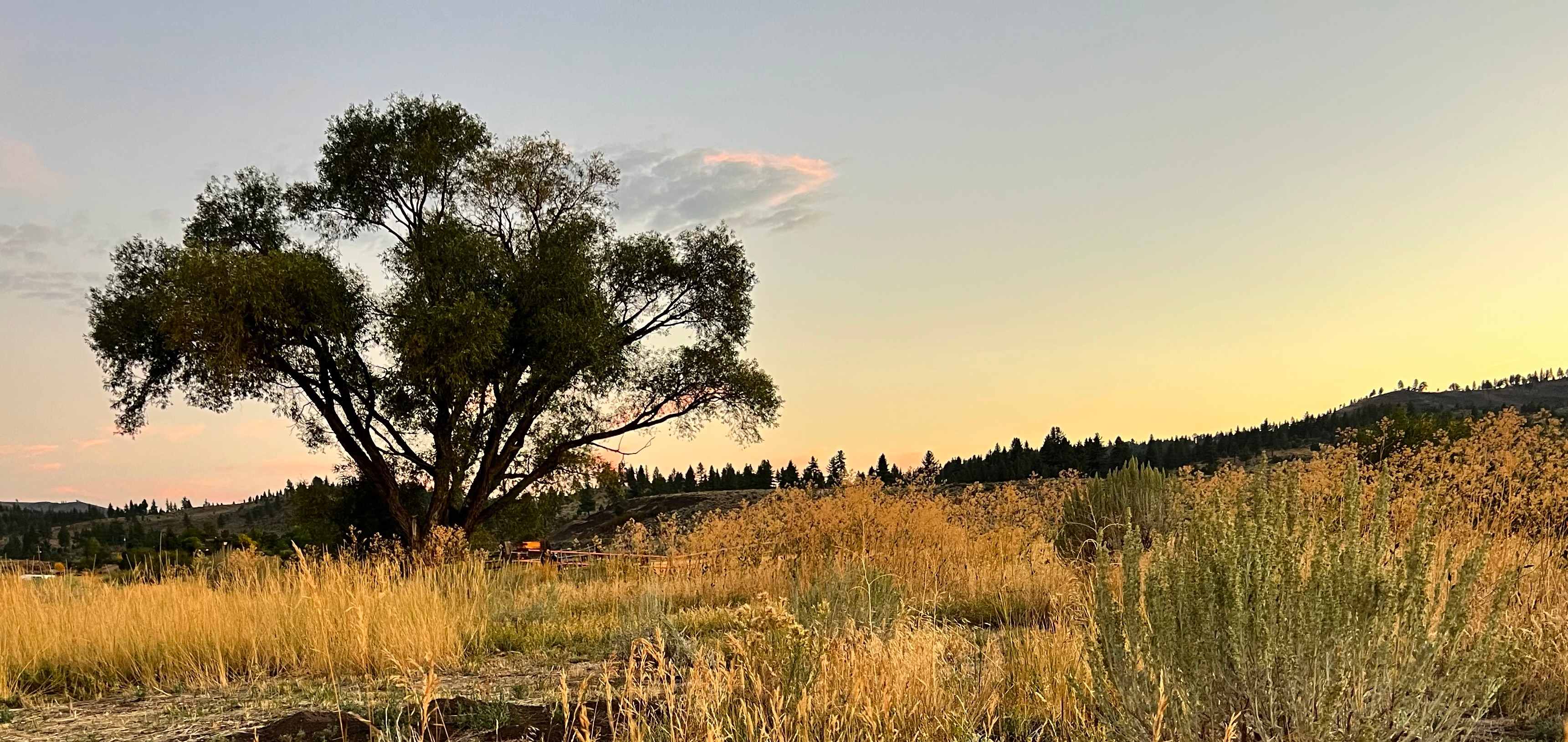 Flyte and Sparrow natural interlude