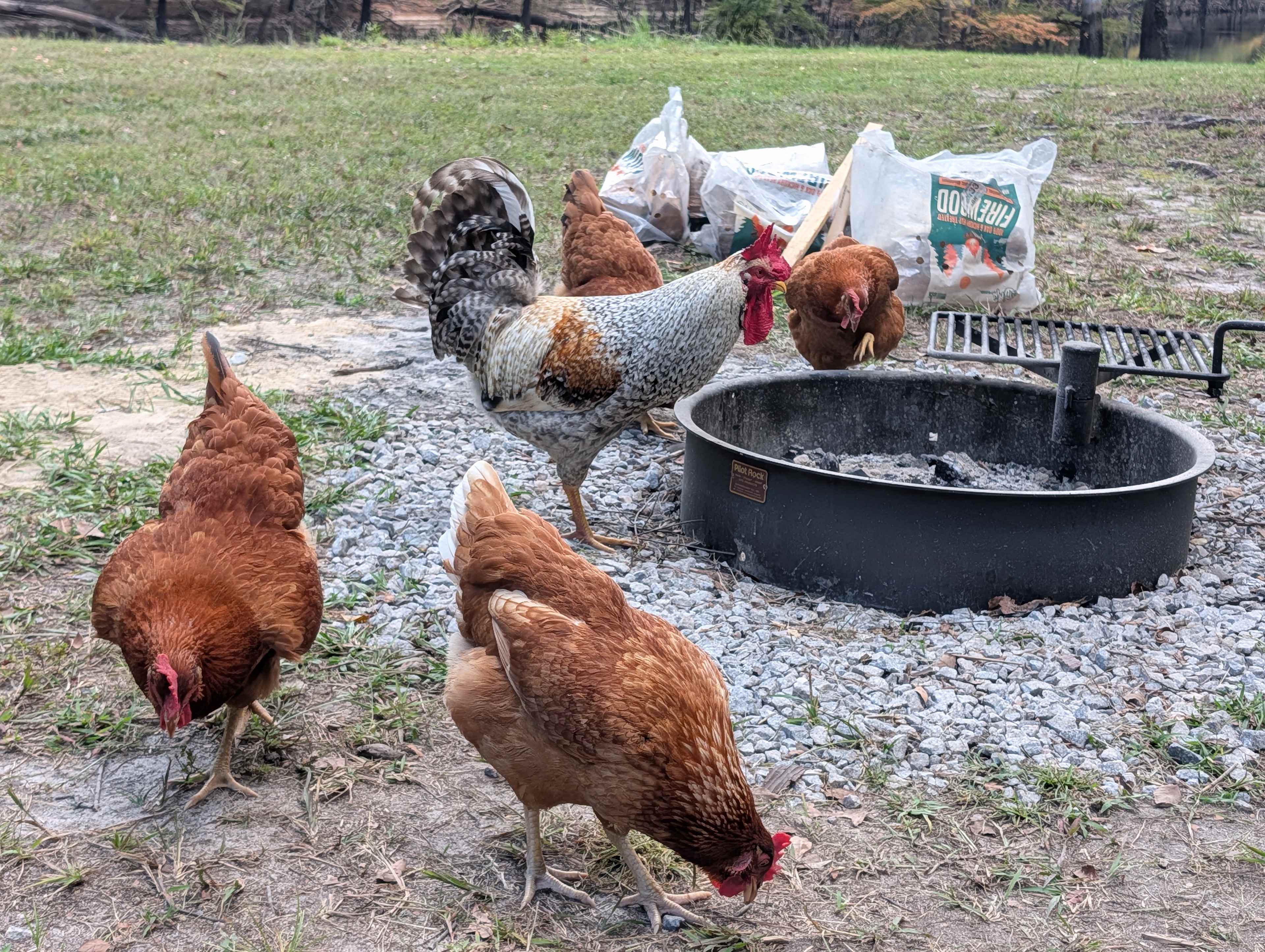 Riverbend Camp Retreat