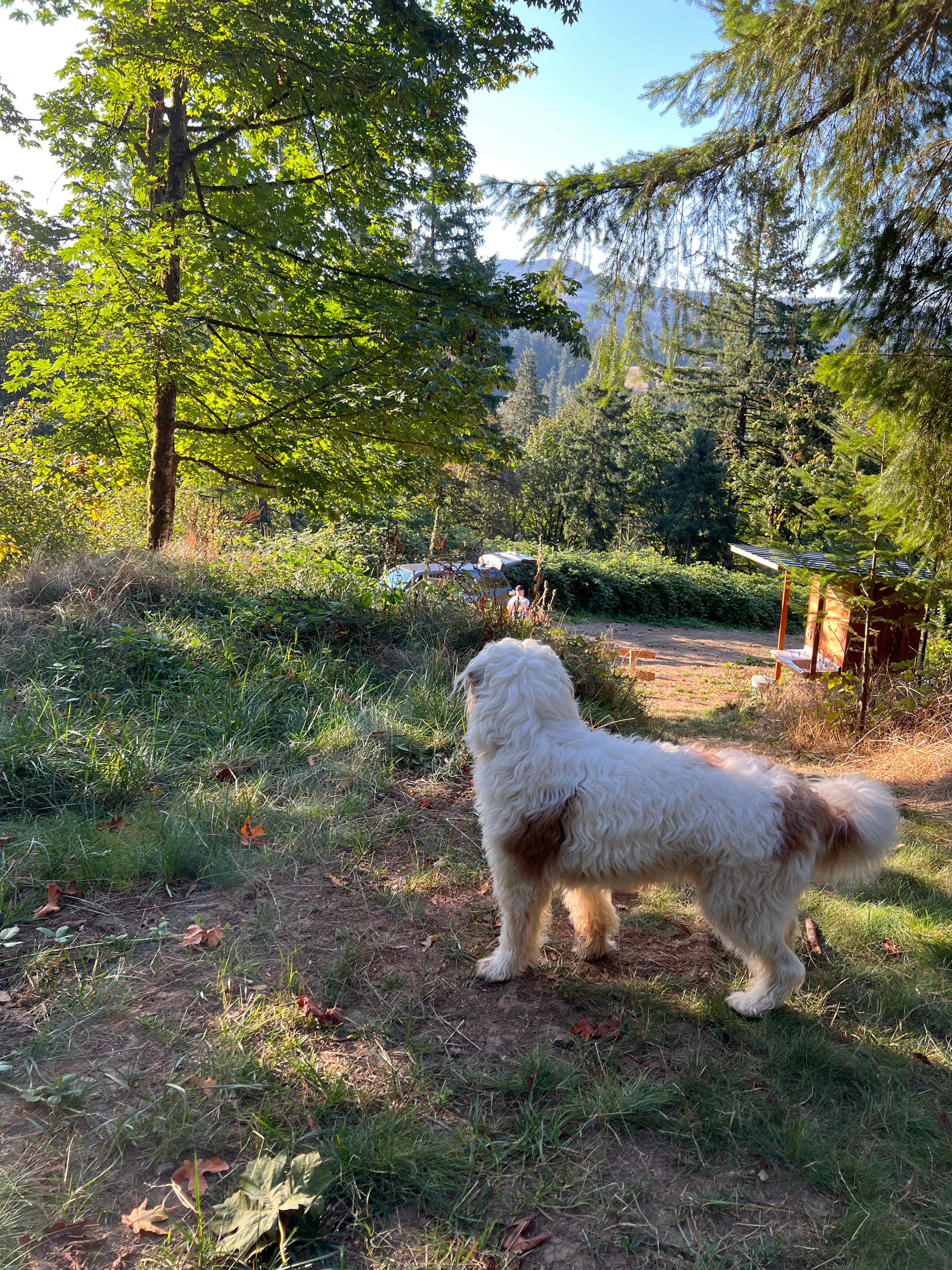 Hobbit House Experience