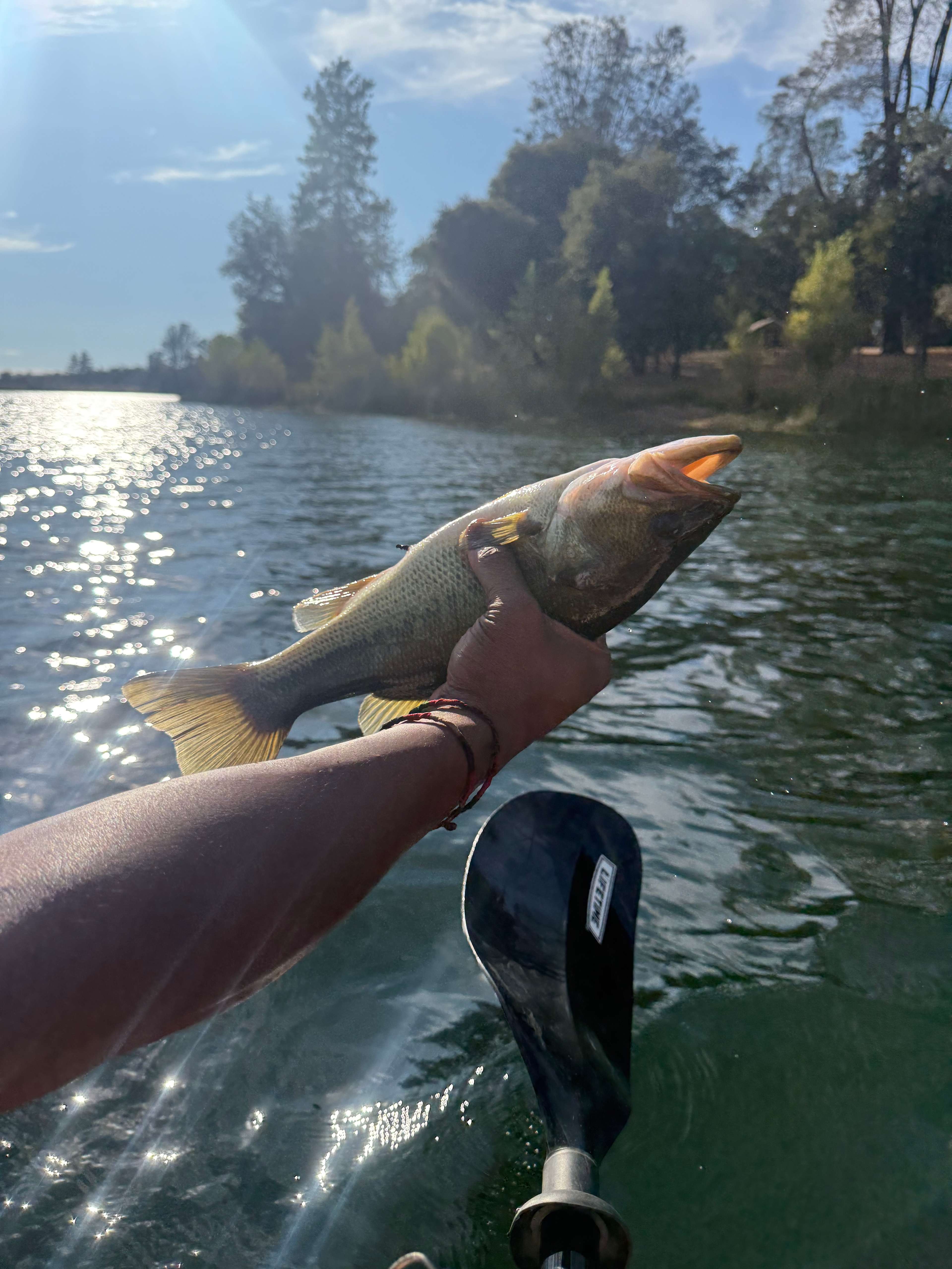 Finnon Lake Recreation Area