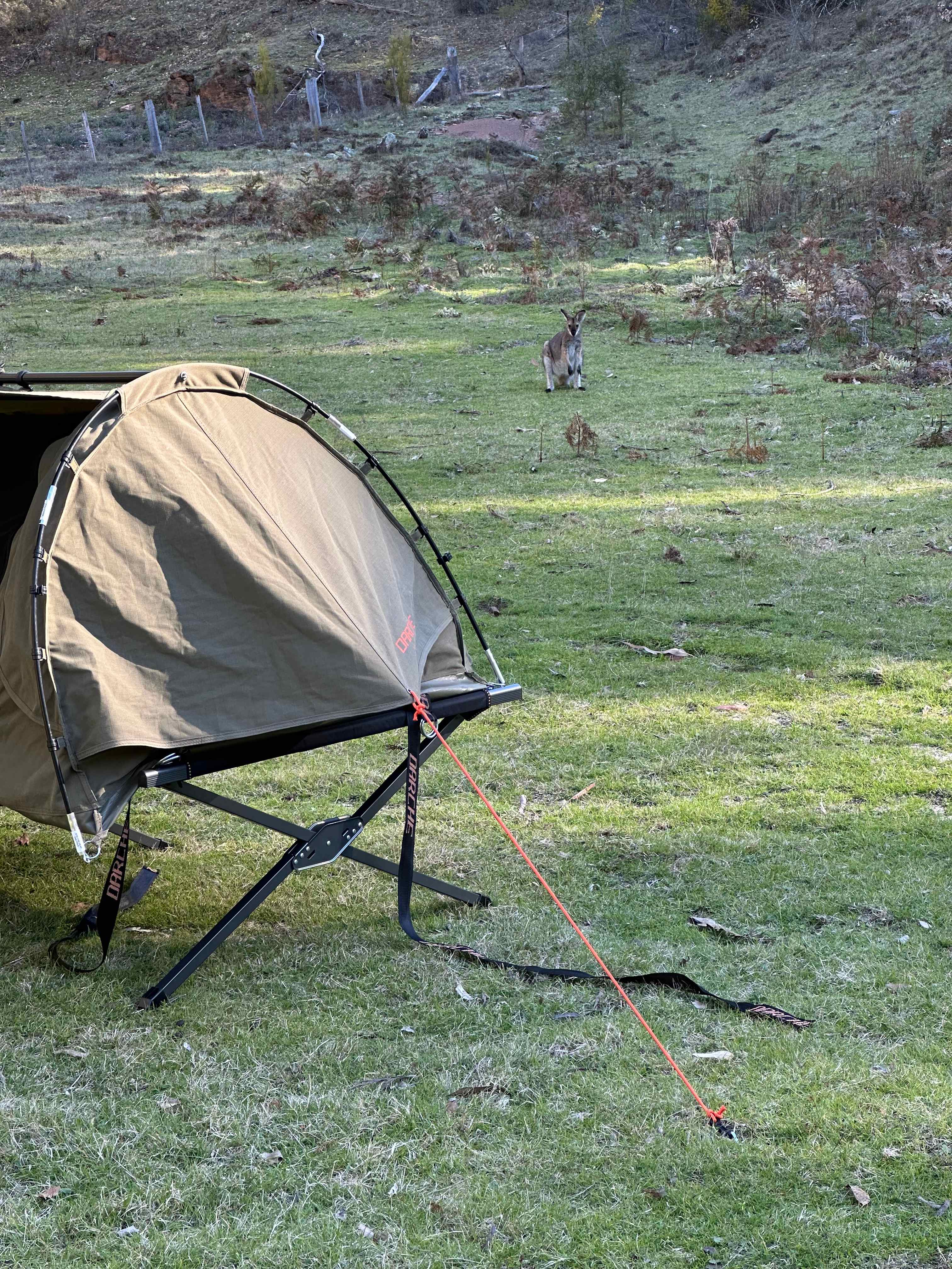 Zoom in to the right to see a neighbour 