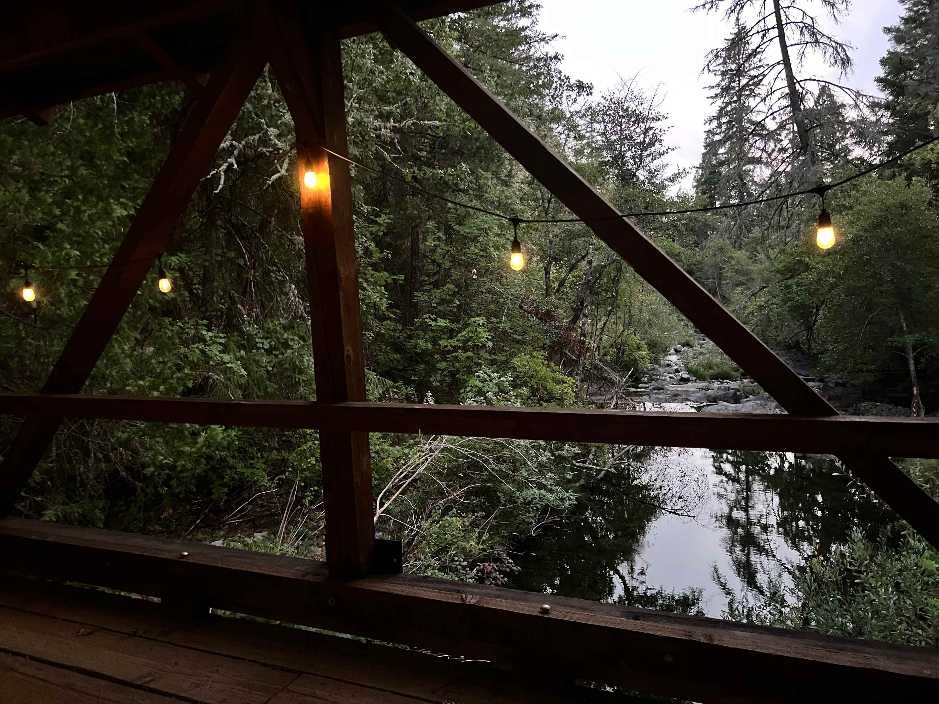 Forested creekside campsite
