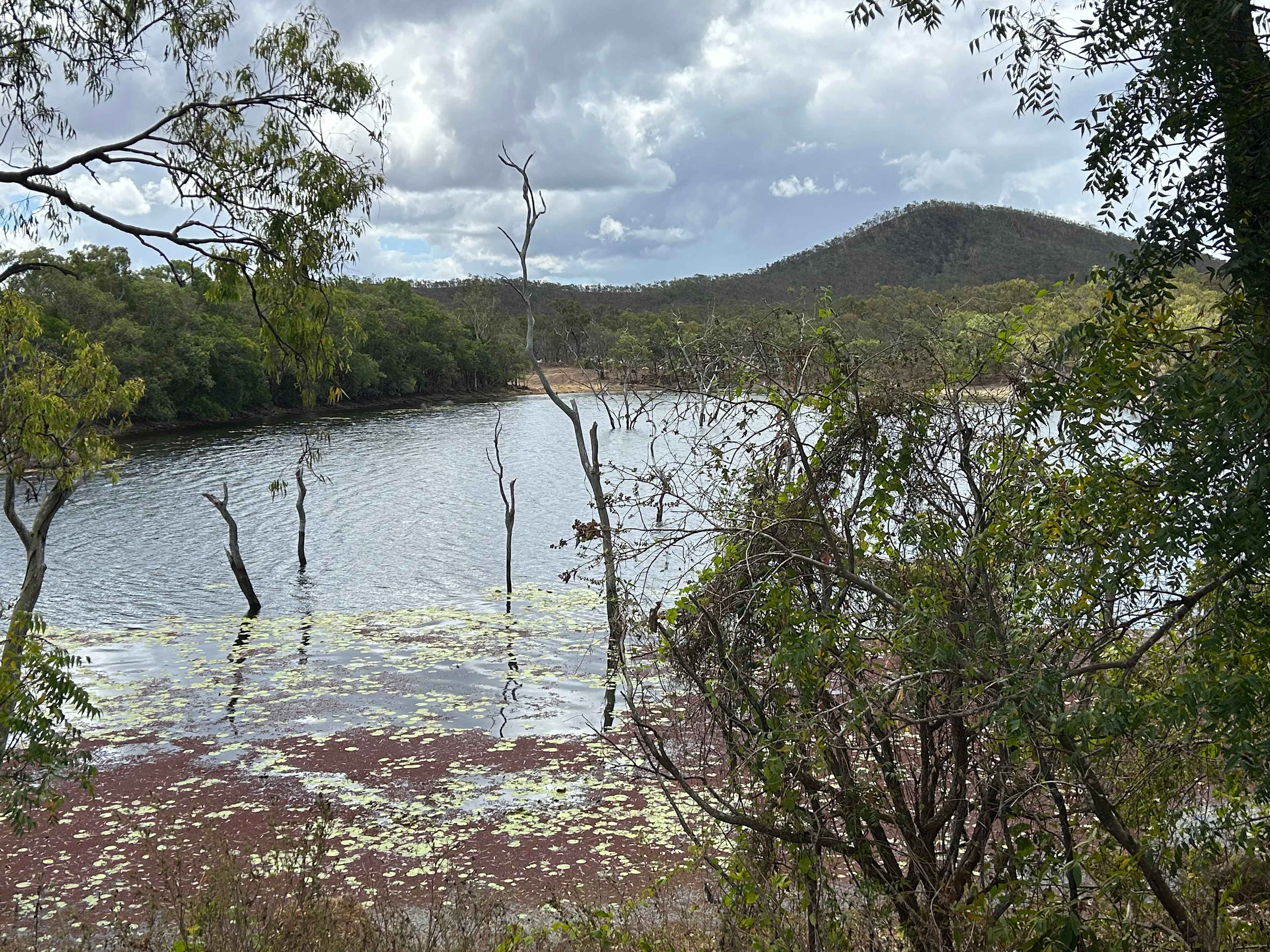 Lakeland Downs Camping