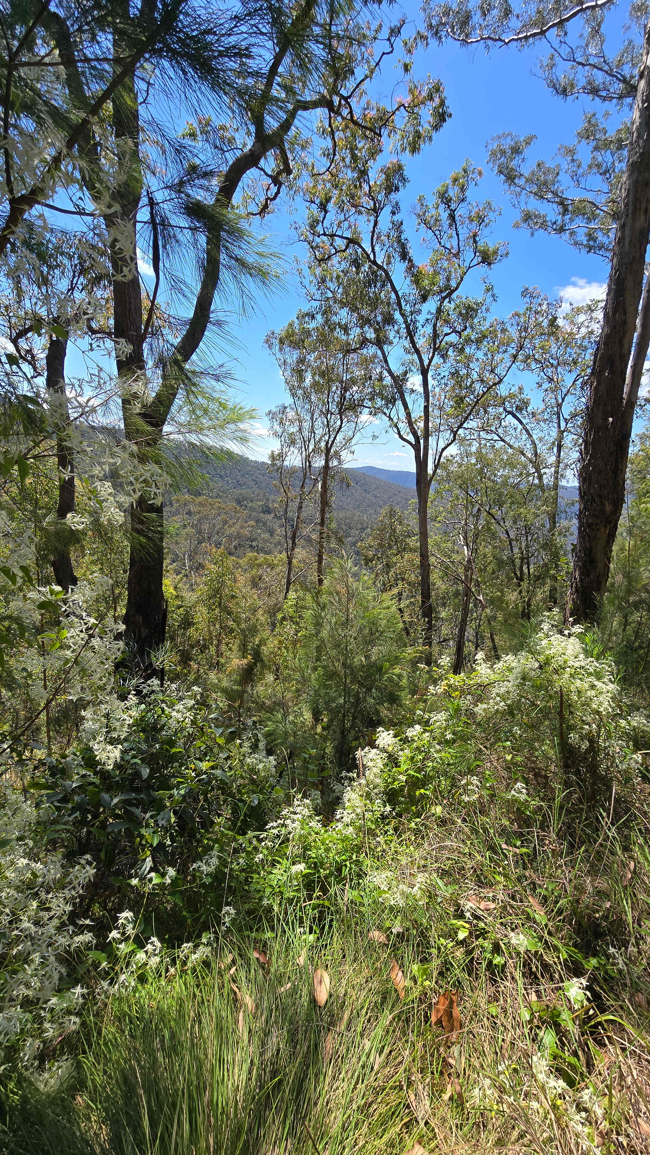 Mount Castle Valleys