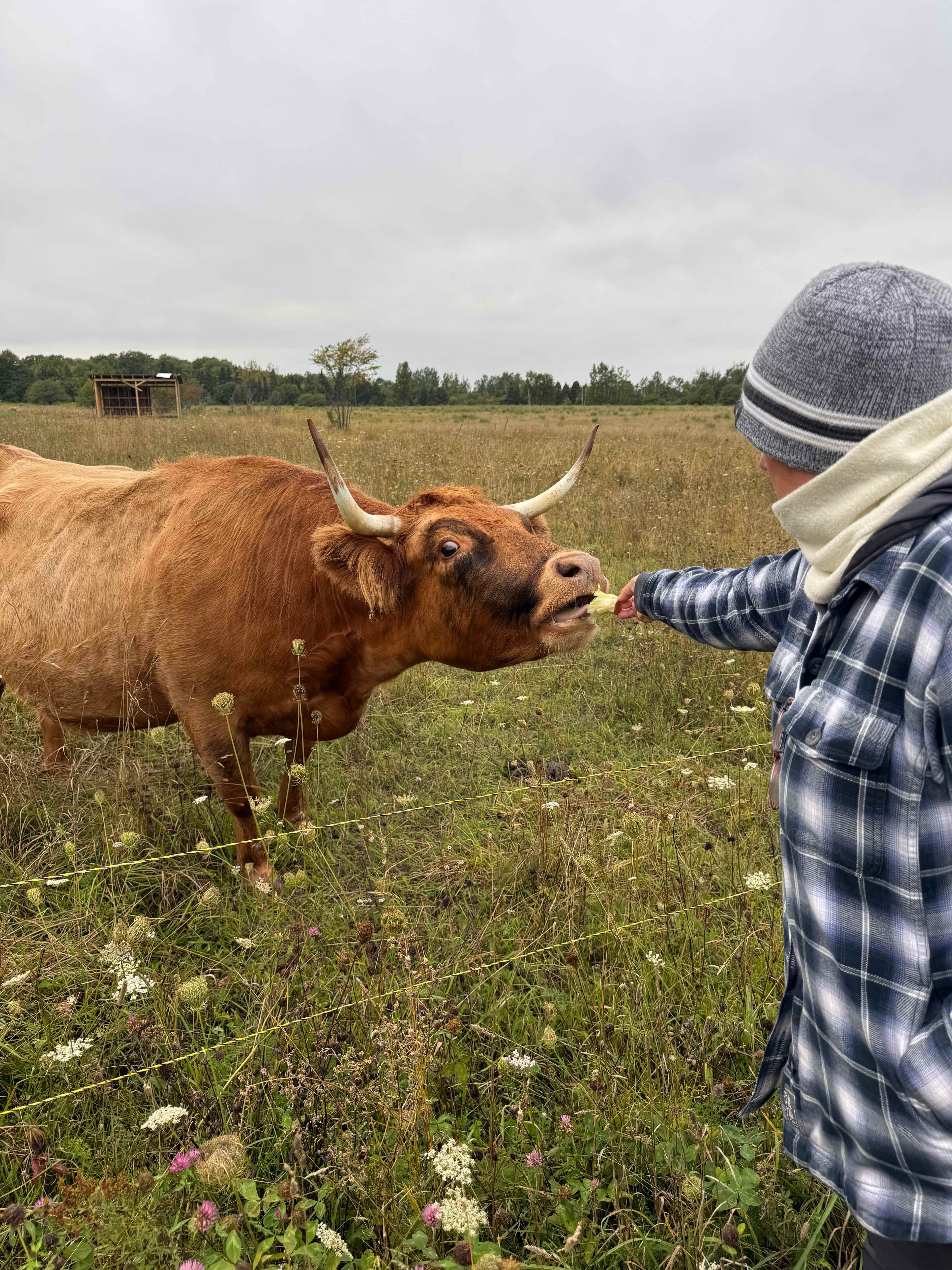 Keweenaw Homestead Camping