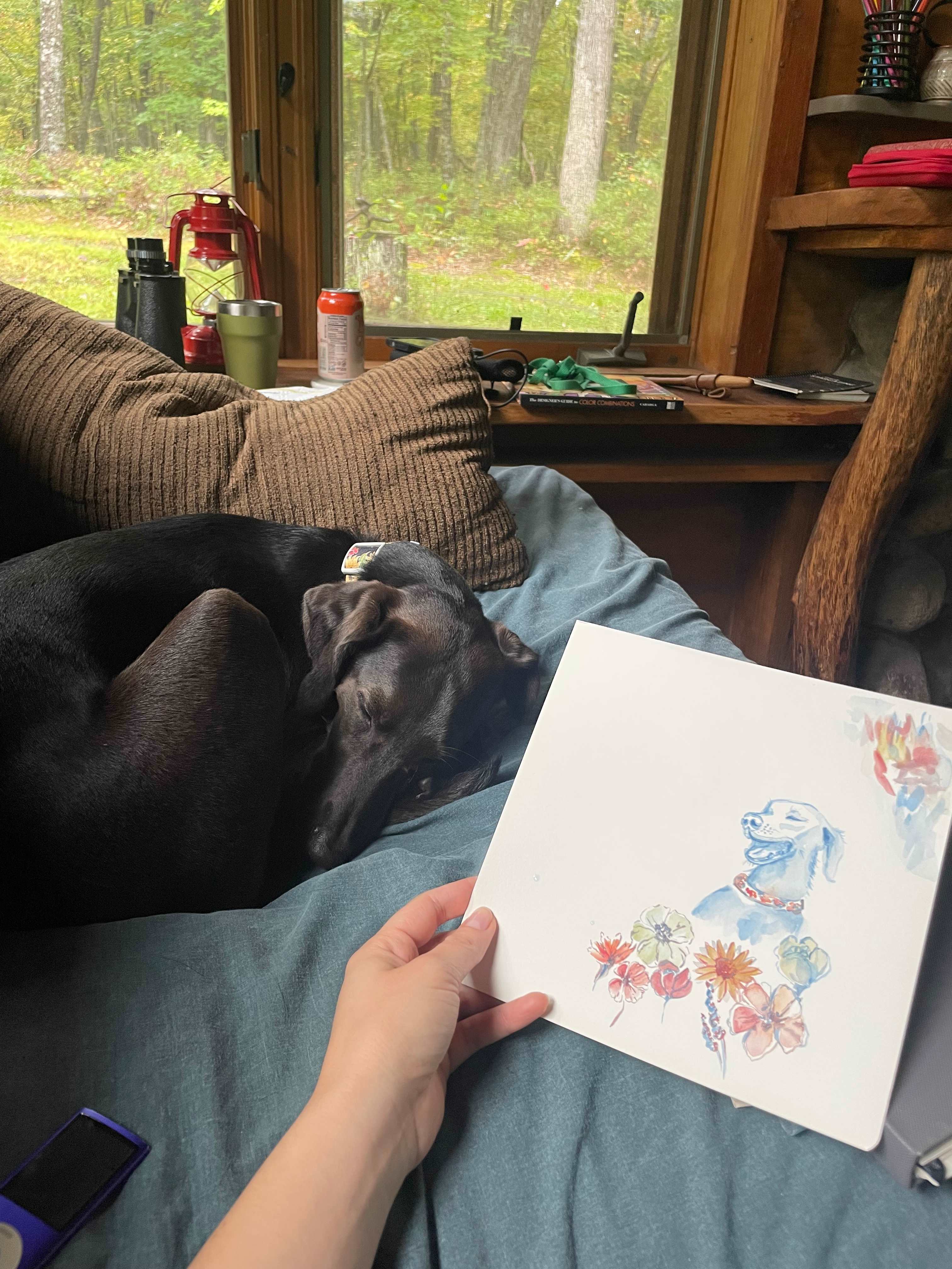 Fisher Cat Creek Forest Retreat