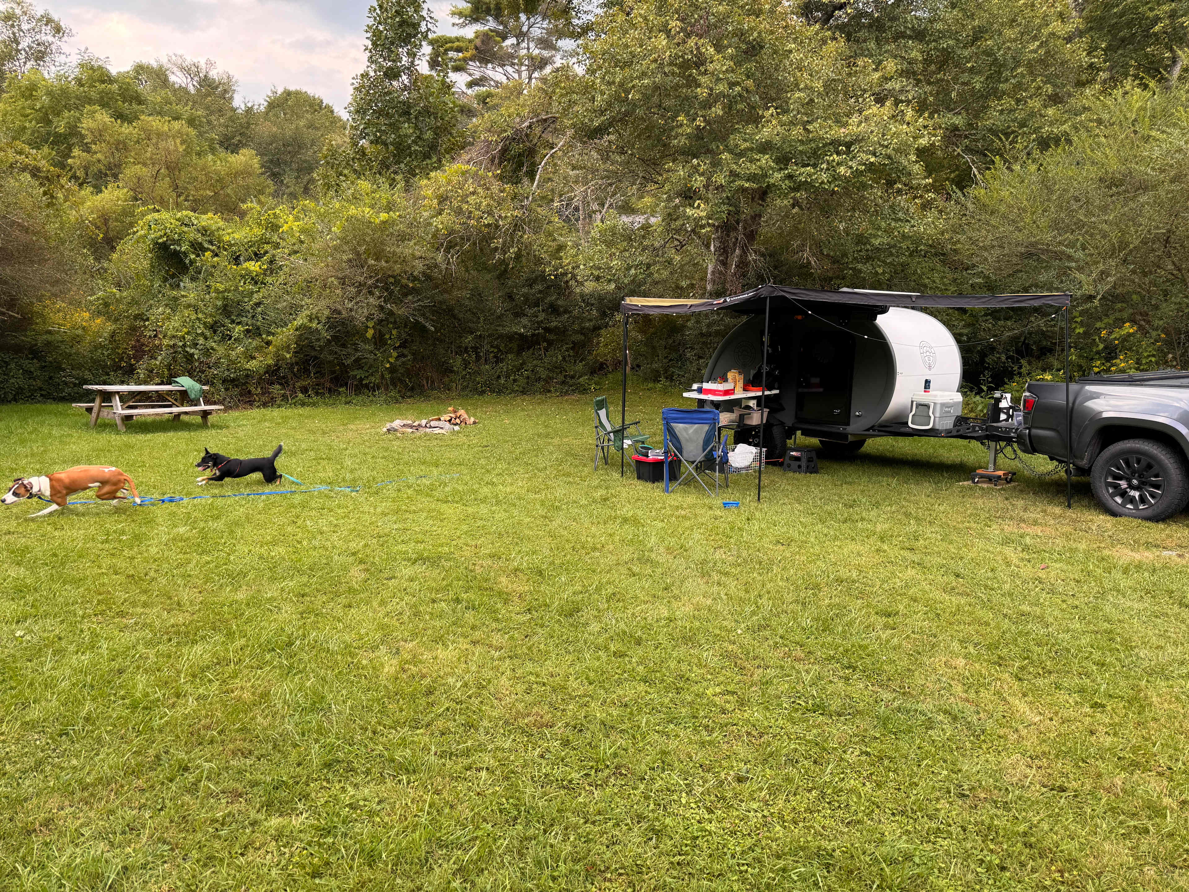 Site 4- Plenty of space to run around