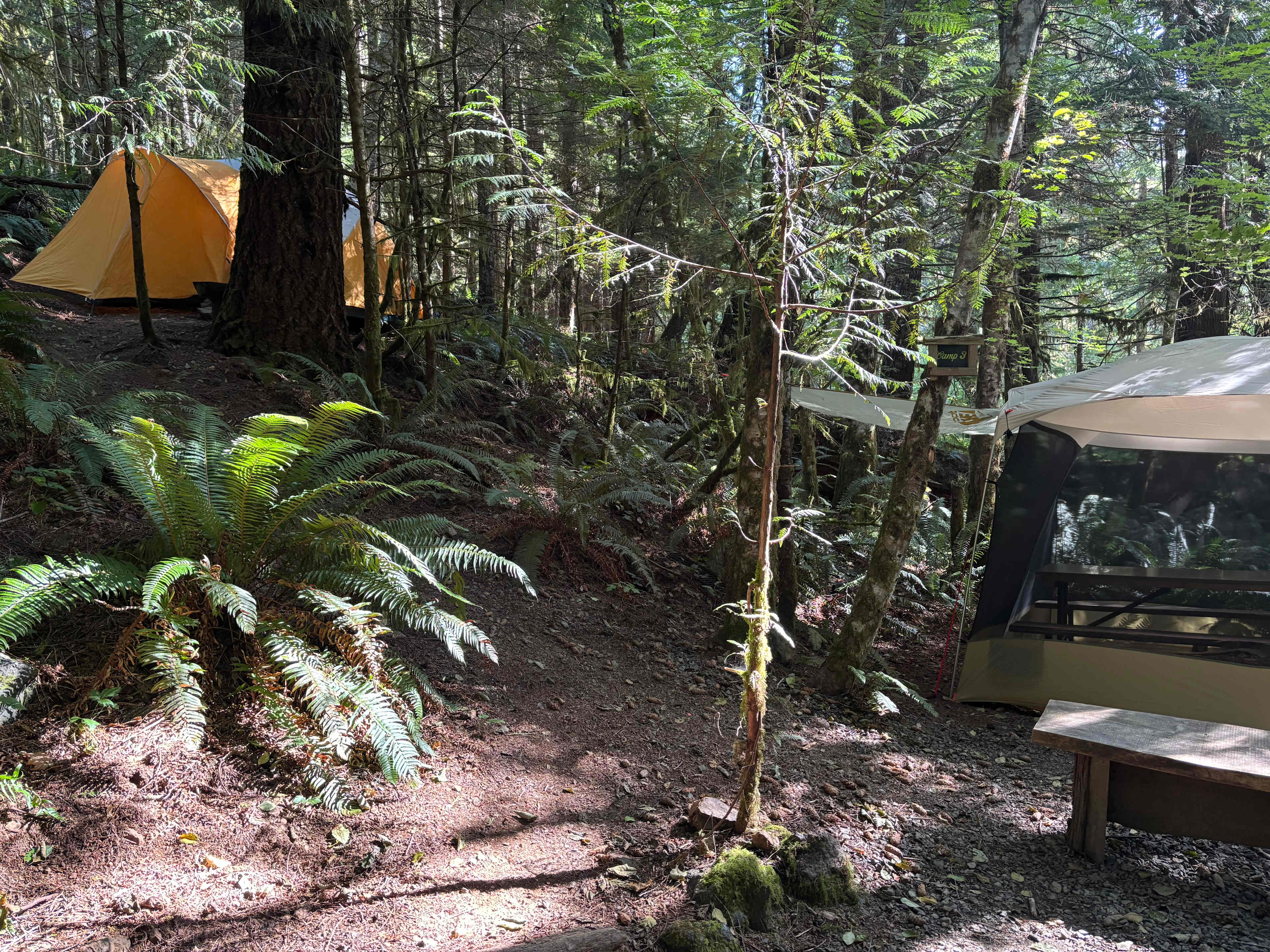 sol duc rainforest retreat