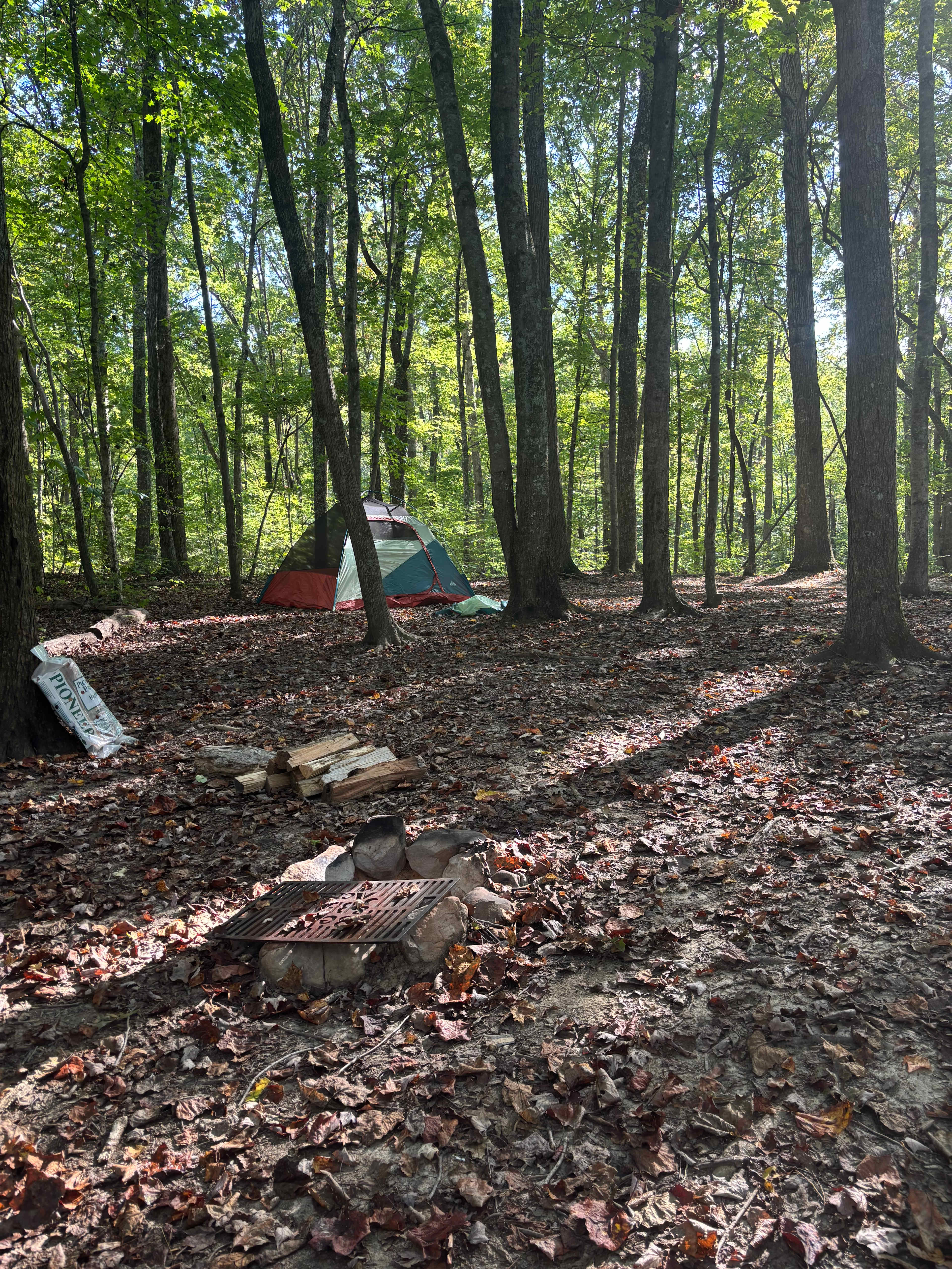 Belle and Beau Acres