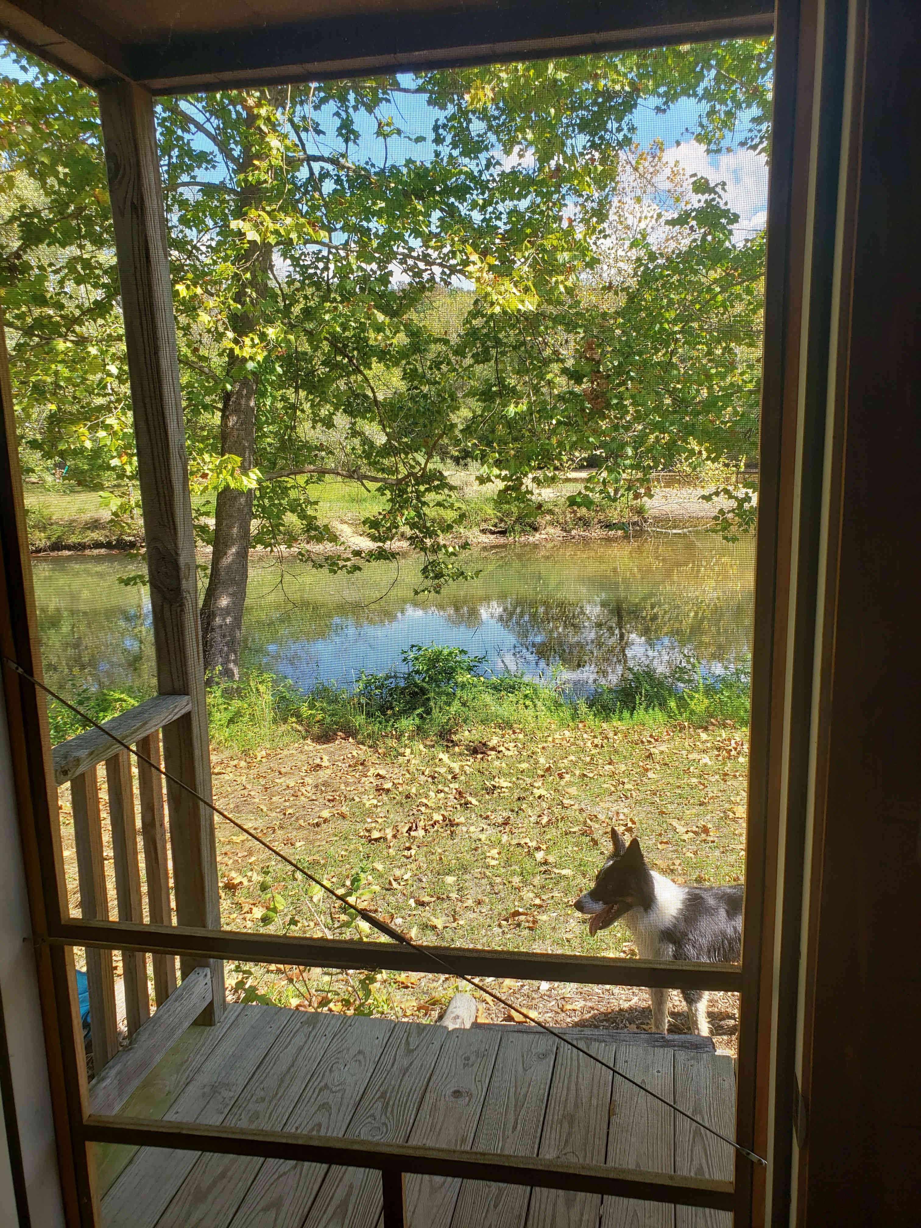 Ellie is a great host