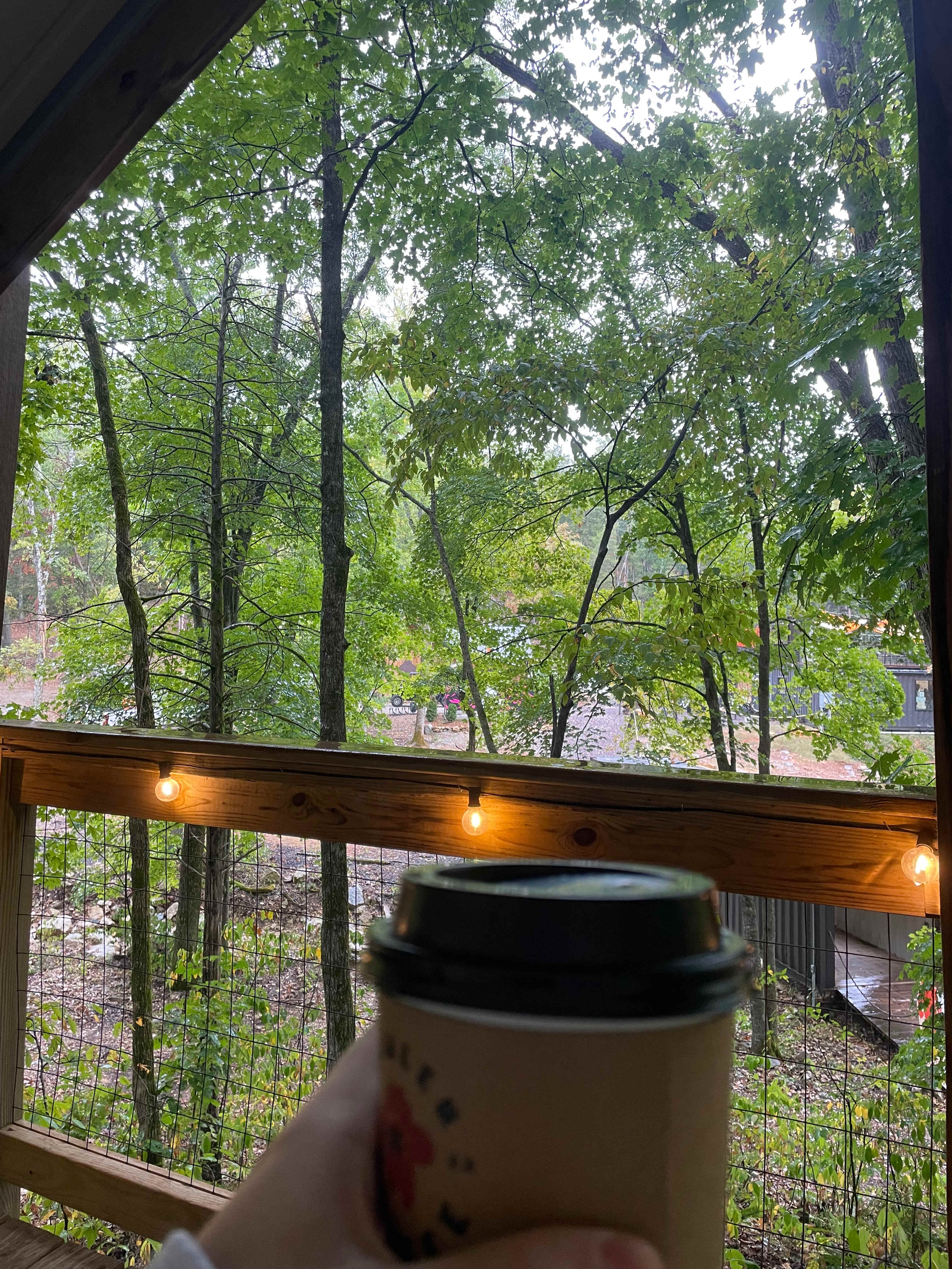 Howler Bike Park Stays