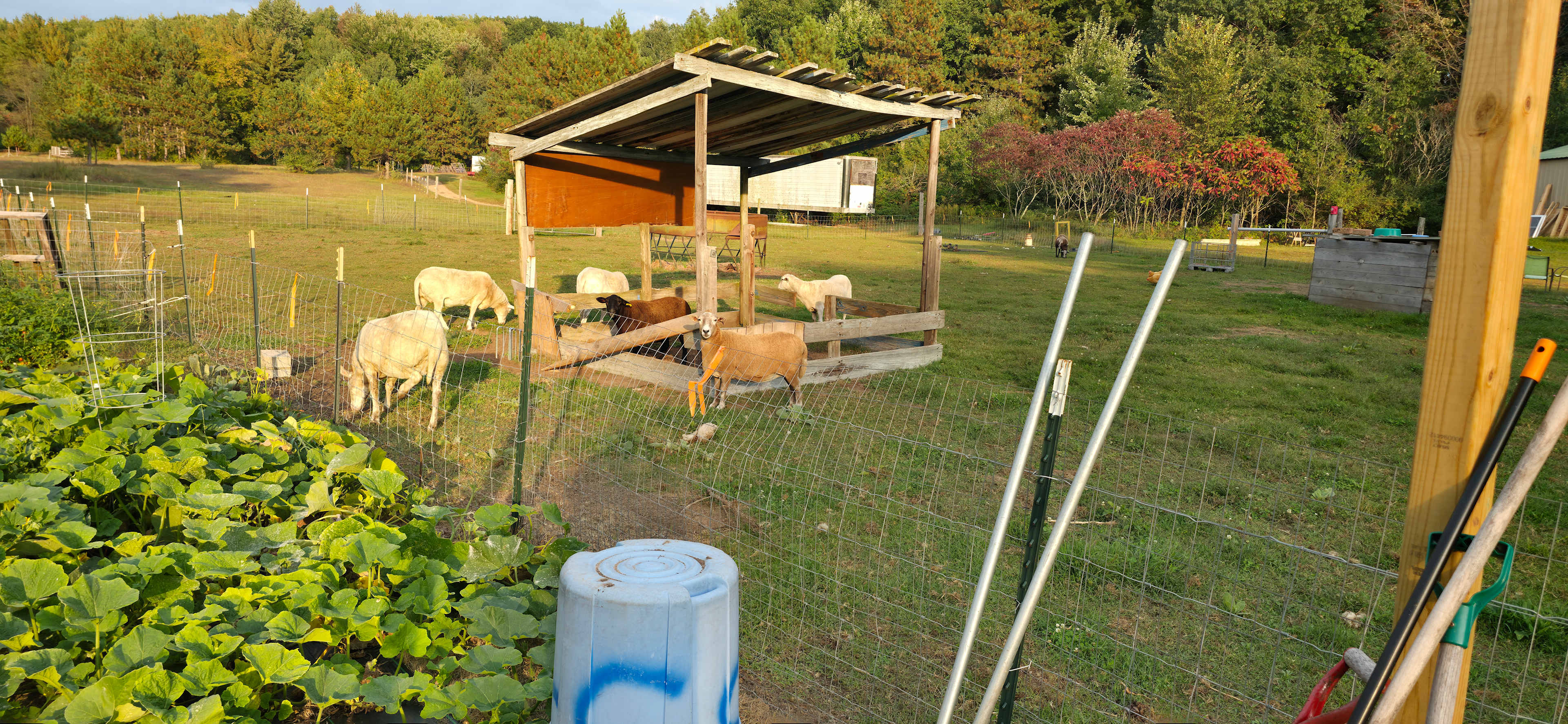 Corner Creek Ranch