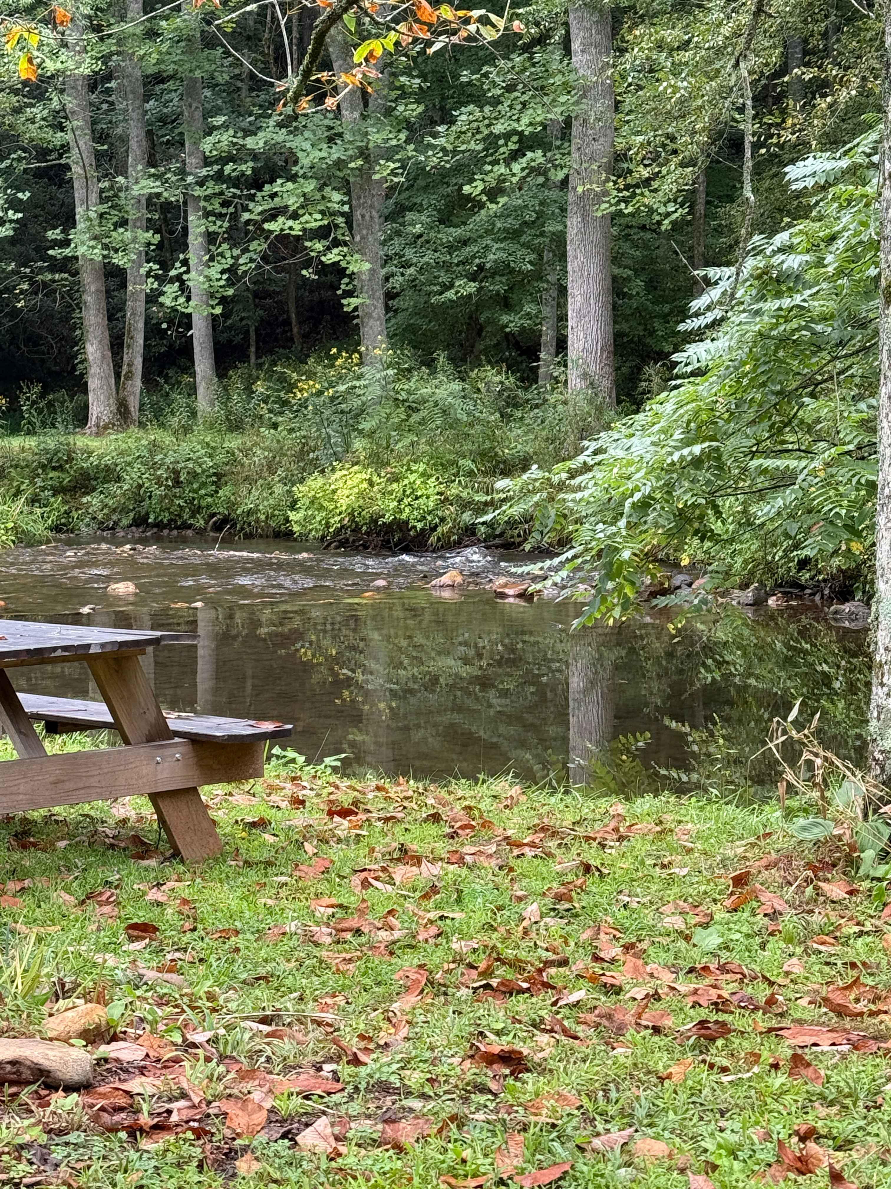 Coweeta Creek Campground