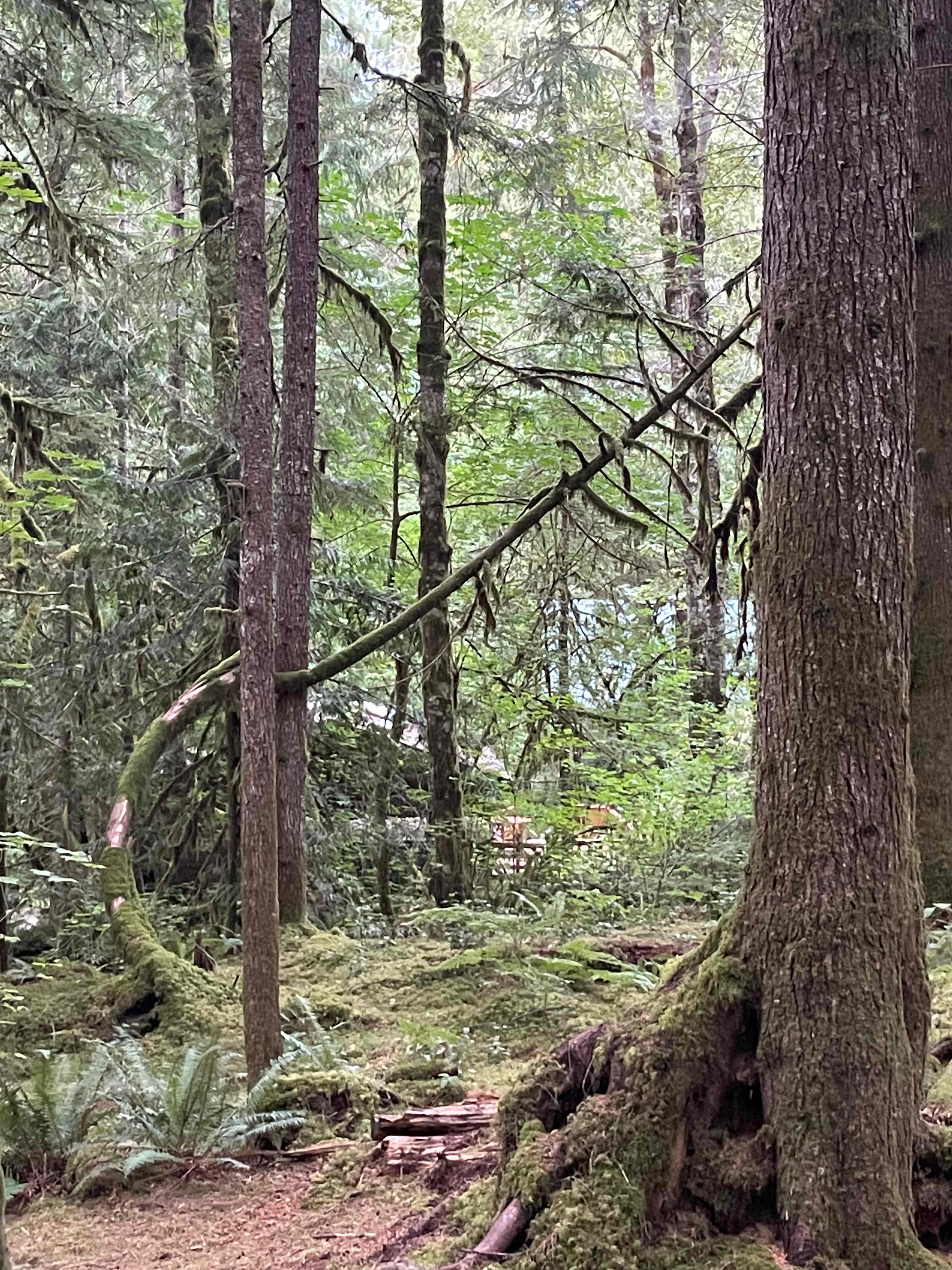 Winedown Camp at Boulder Creek