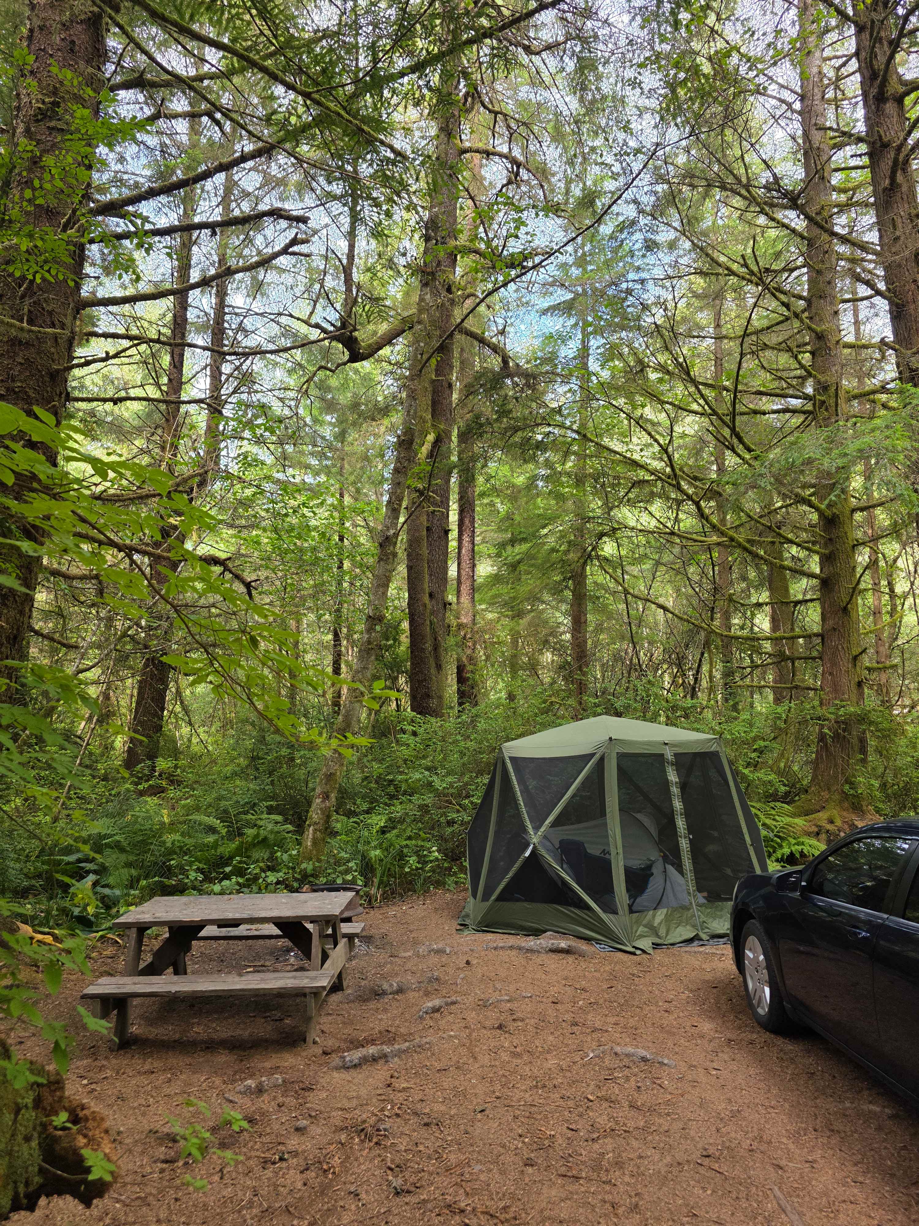 Mystic Forest Campground