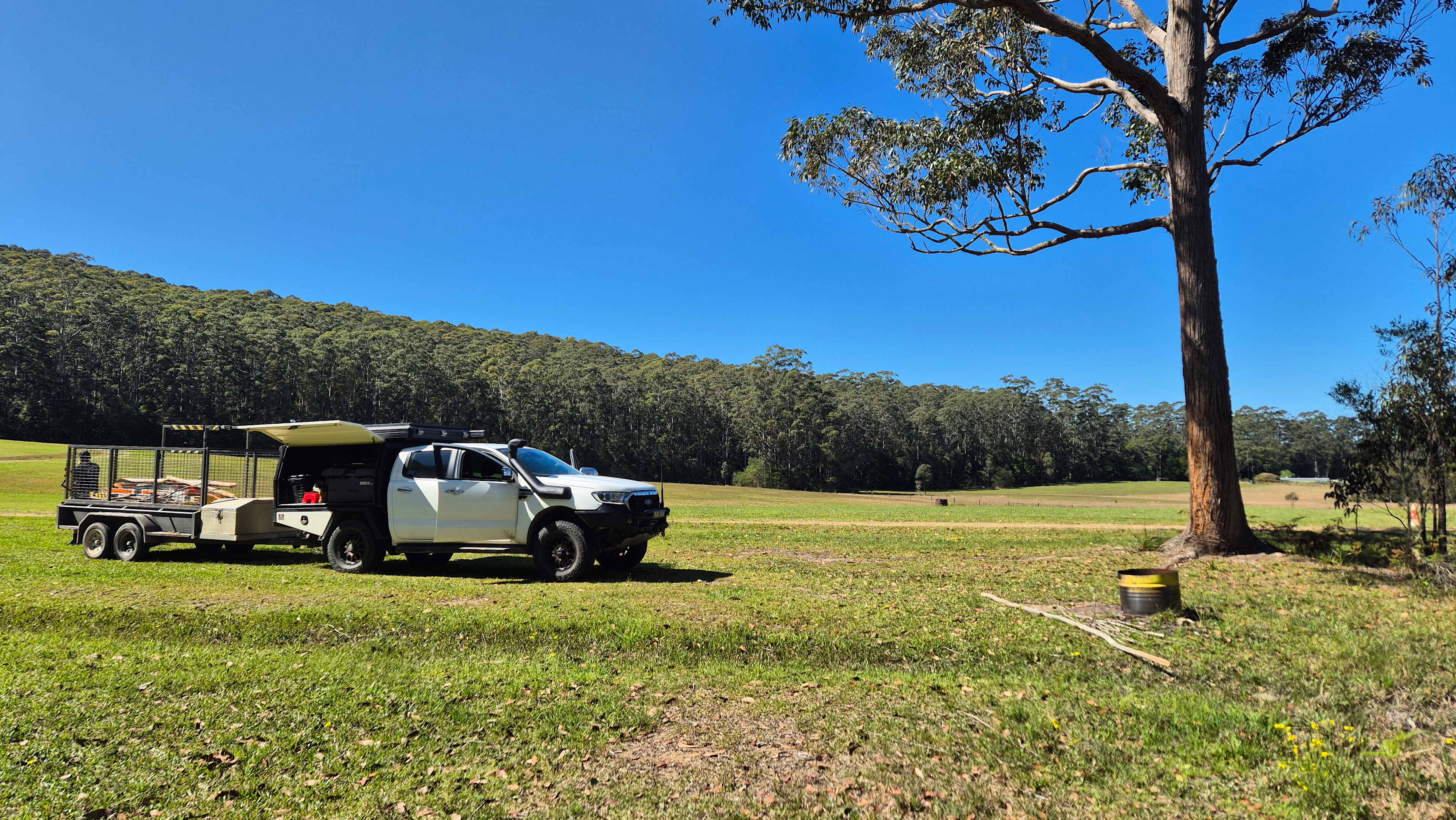 Spirit of the Forest