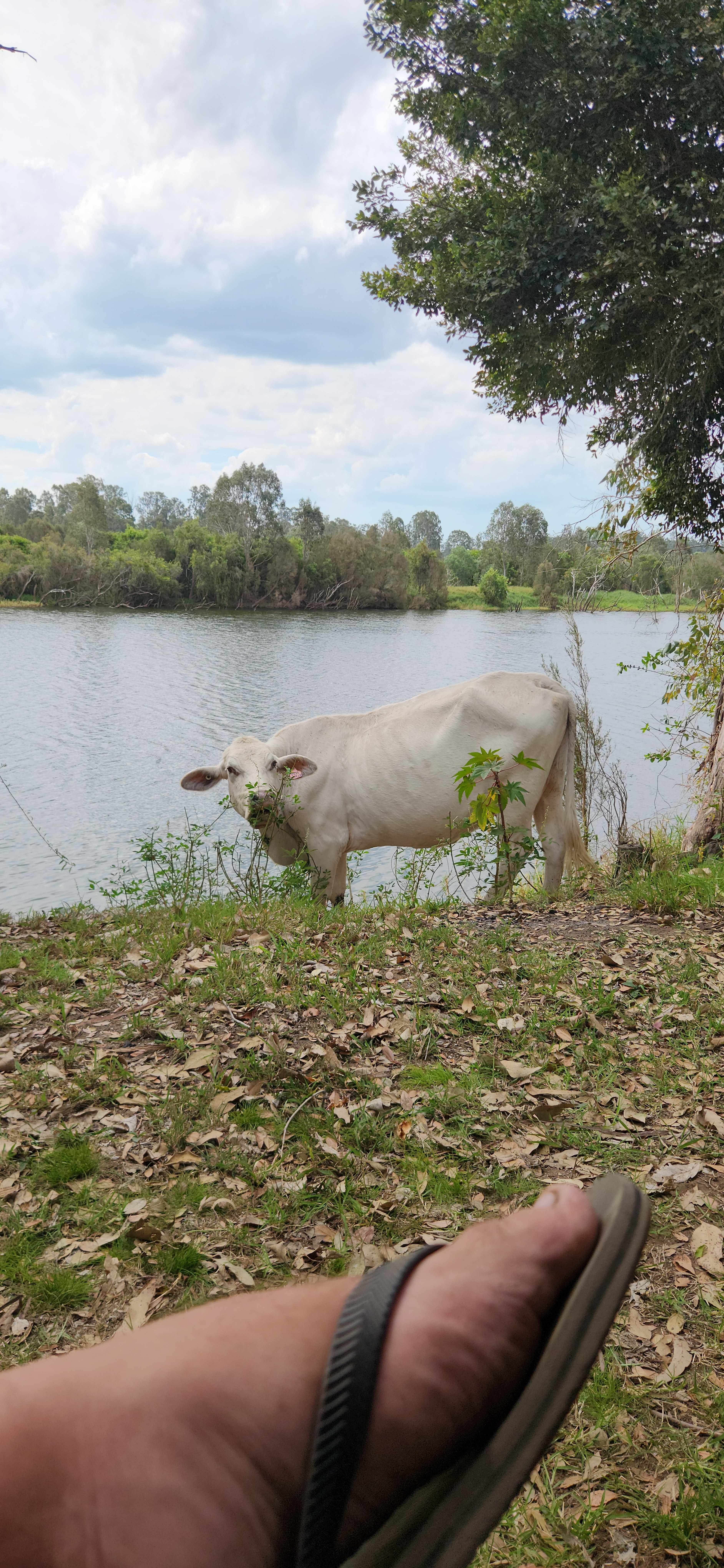 Paradise Lost on the Burnett