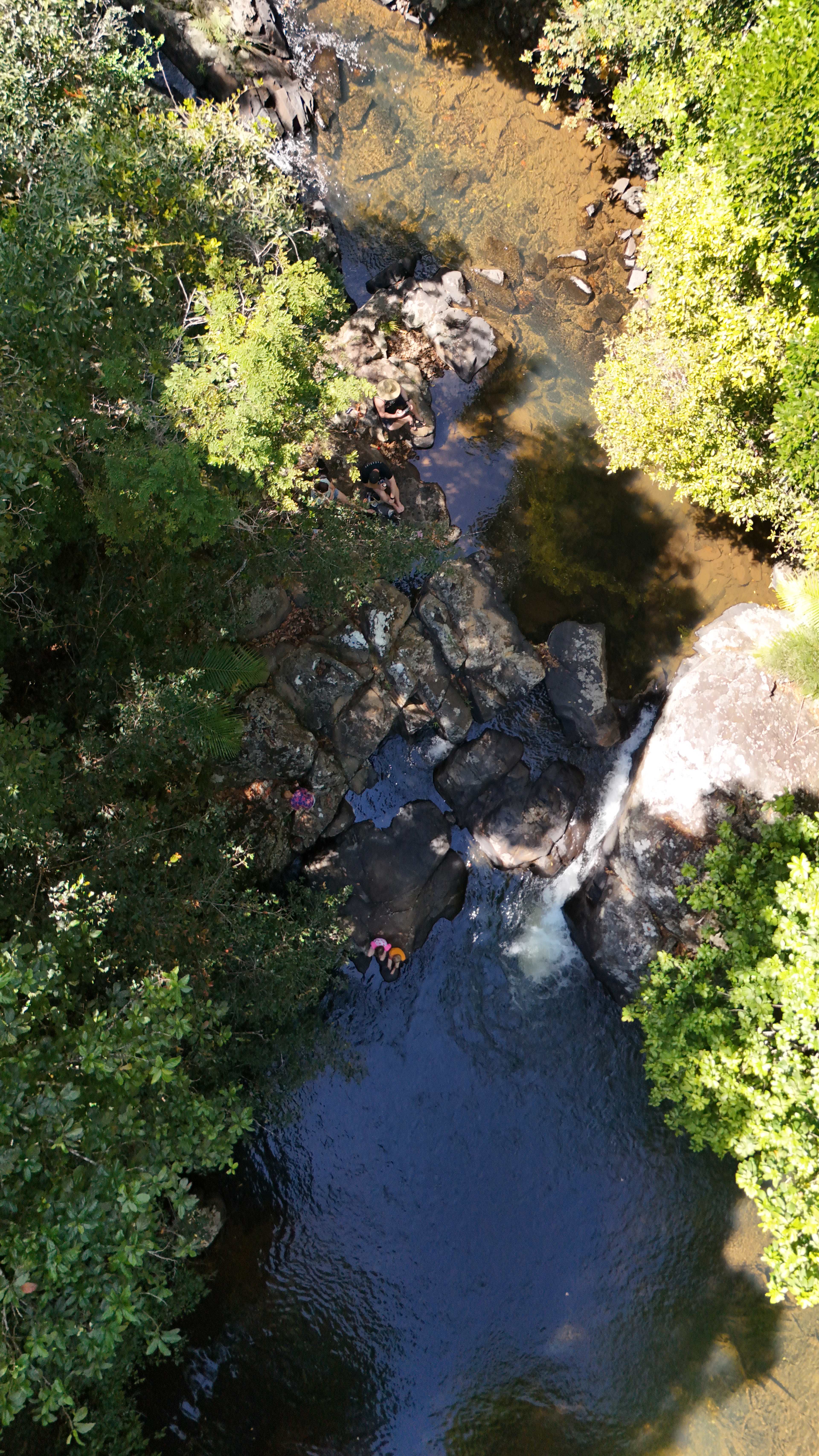 Dalrymple Heights Rainforest Stay